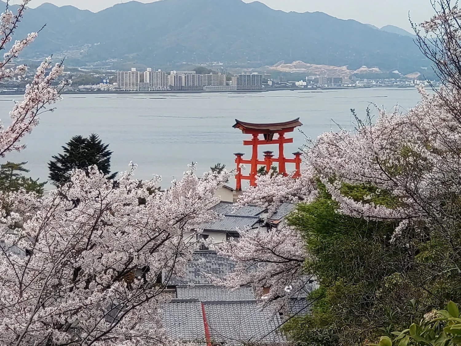 宮島半日曆史徒步之旅