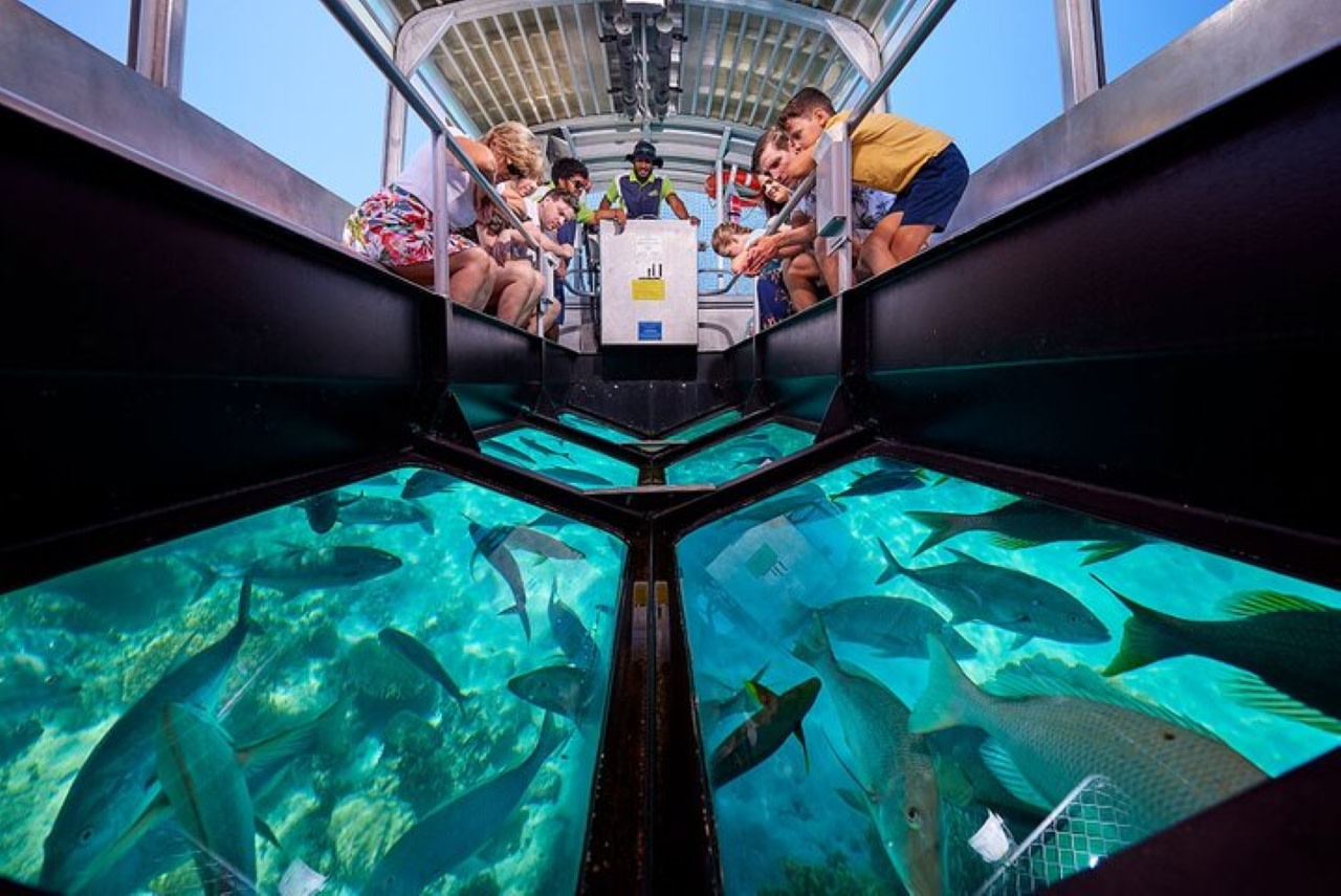 Sharm El Sheikh Half-Day Glass-Bottom Boat Tour