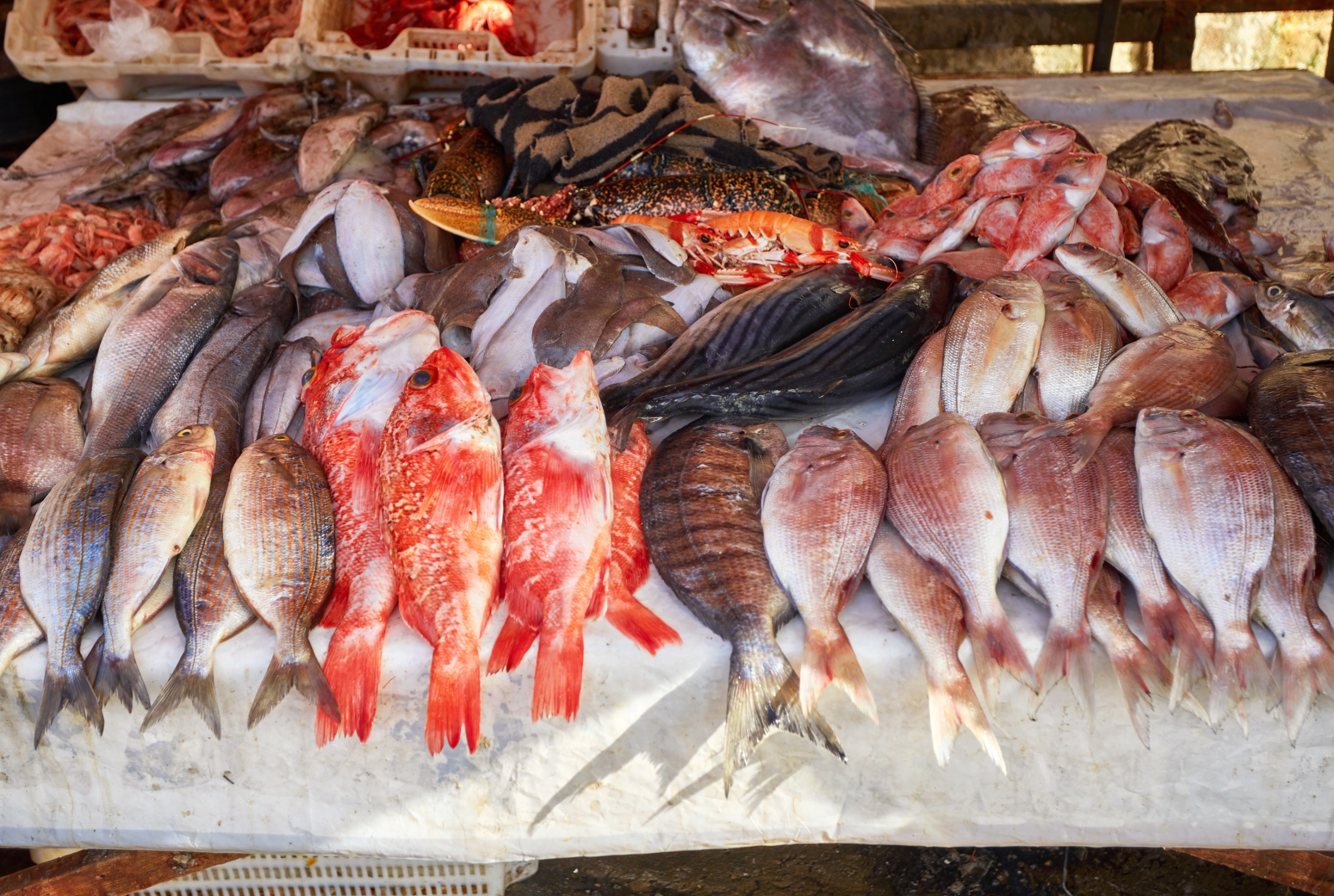 7 Days Moroccan South-East Food Adventure Tour from Marrakech