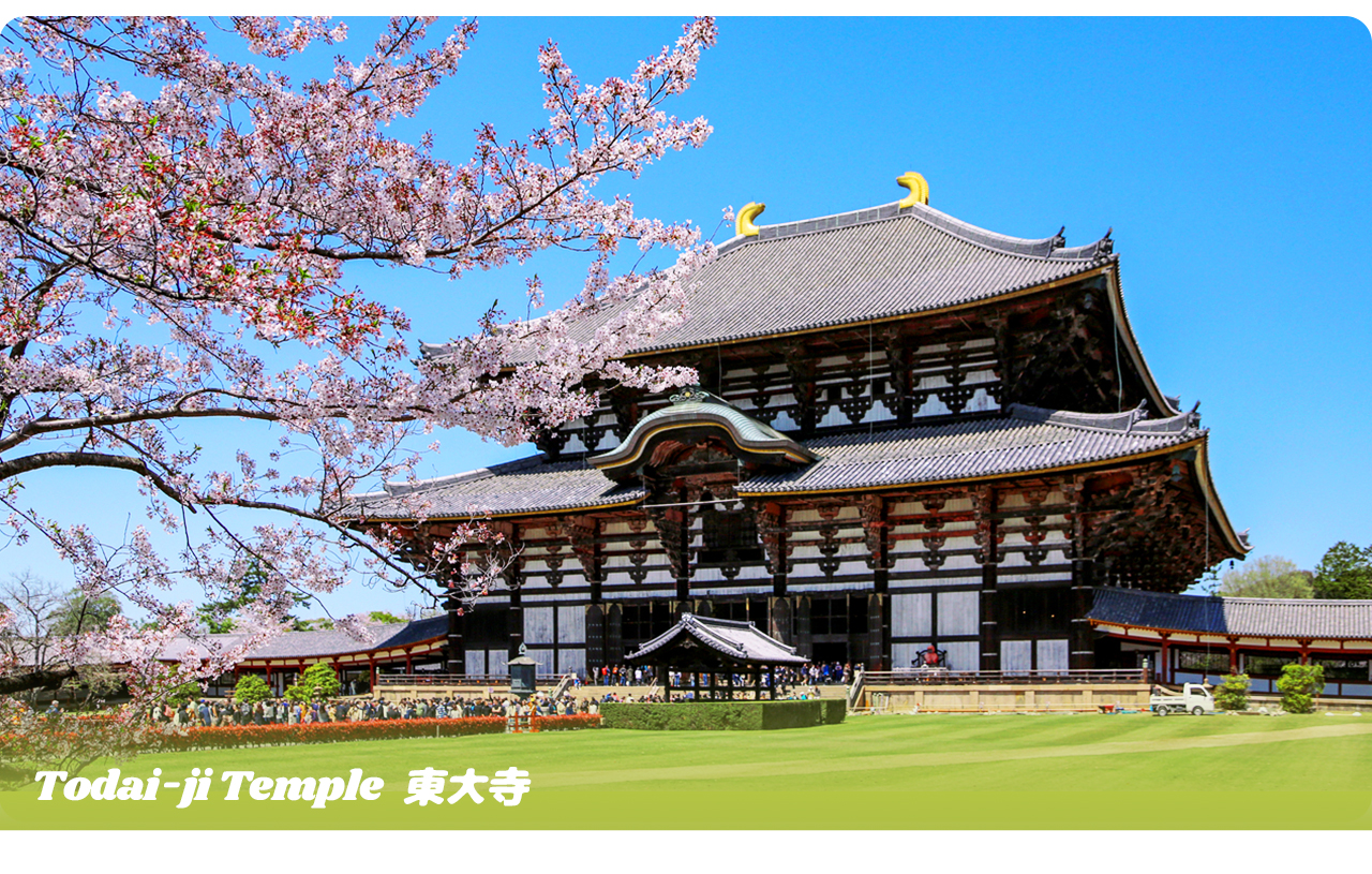 東大寺：世界最大木造建築之一，供奉著高達15米的盧舍那大佛，震撼心靈的古代傑作。