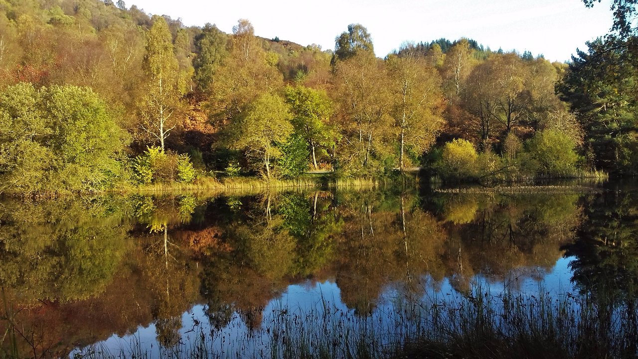 Glasgow Shore Excursion Loch Lomond Stirling Castle