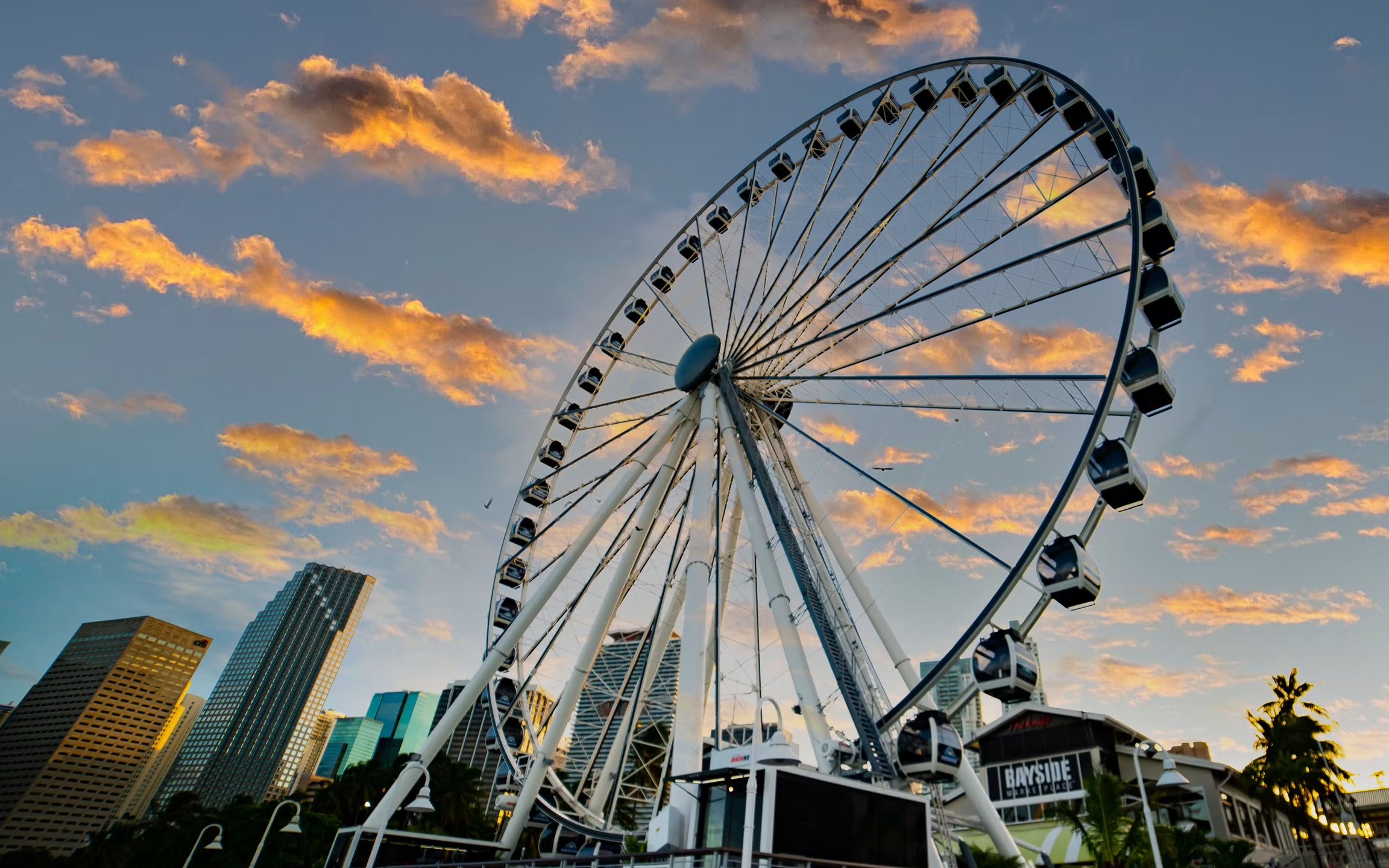 Skyviews Miami Observation Wheel Ticket