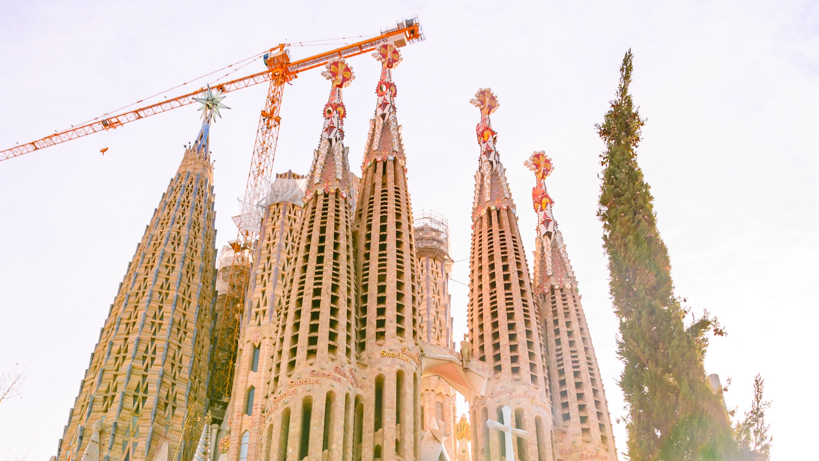 當地導遊將協助您解讀聖家堂柱子、色彩和光線中隱藏的象徵意義。