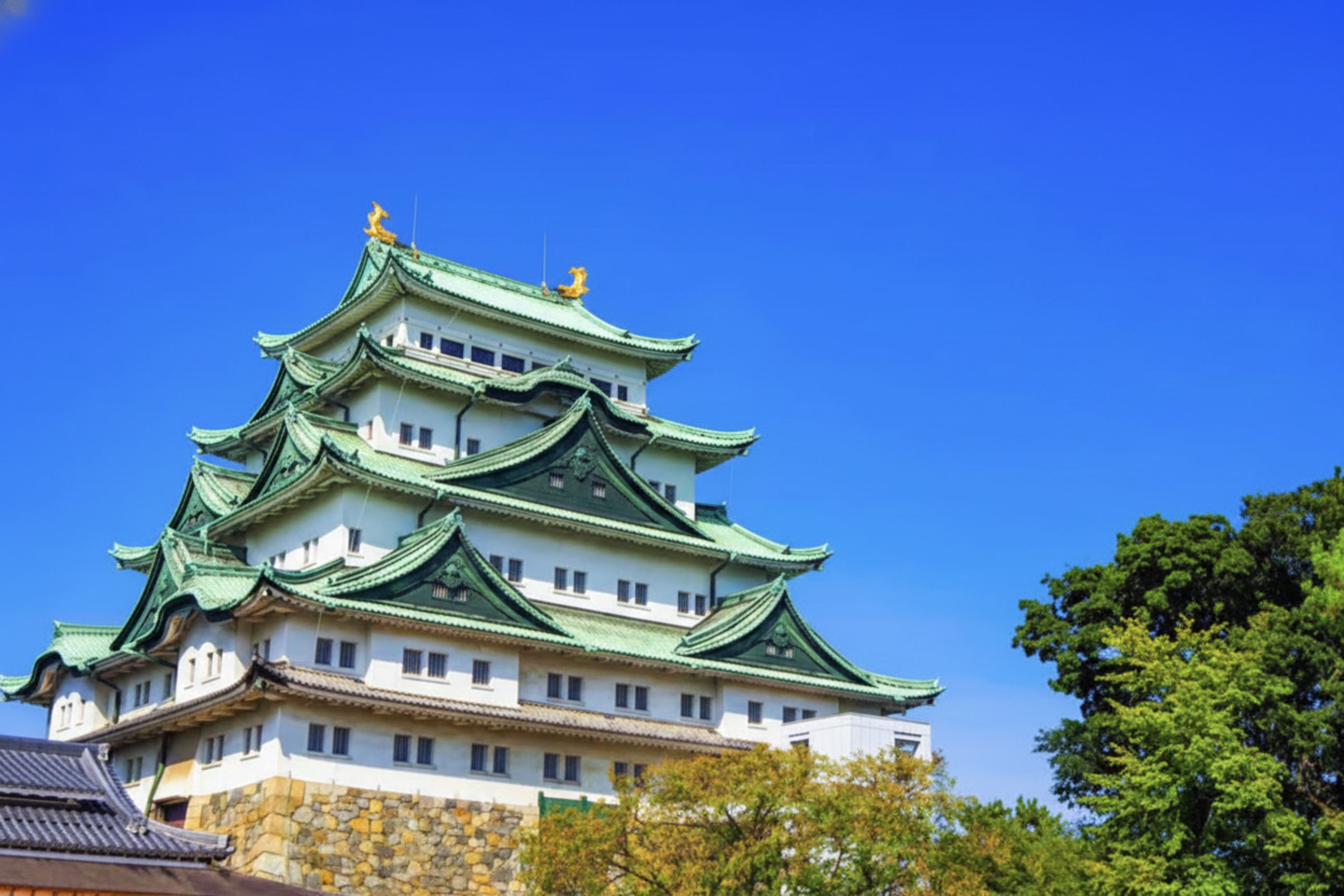 Nagoya Private Custom Tour with Local Guide