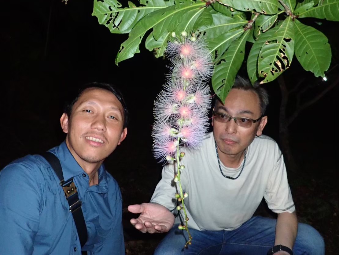 【限時】沖繩沙裡花一日賞花之旅
