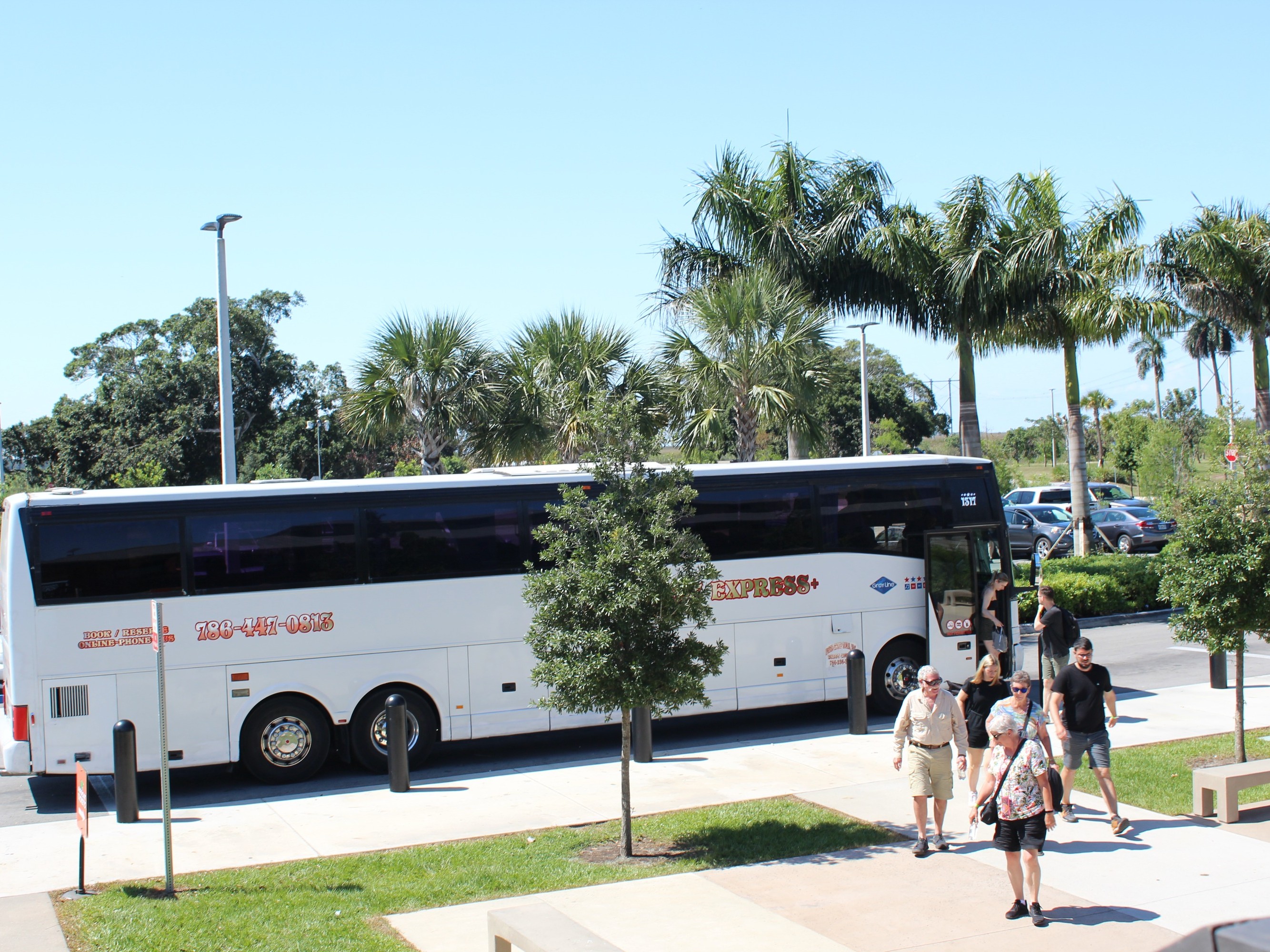 Arrive comfortably in a tour bus ready for an unforgettable Everglades adventure