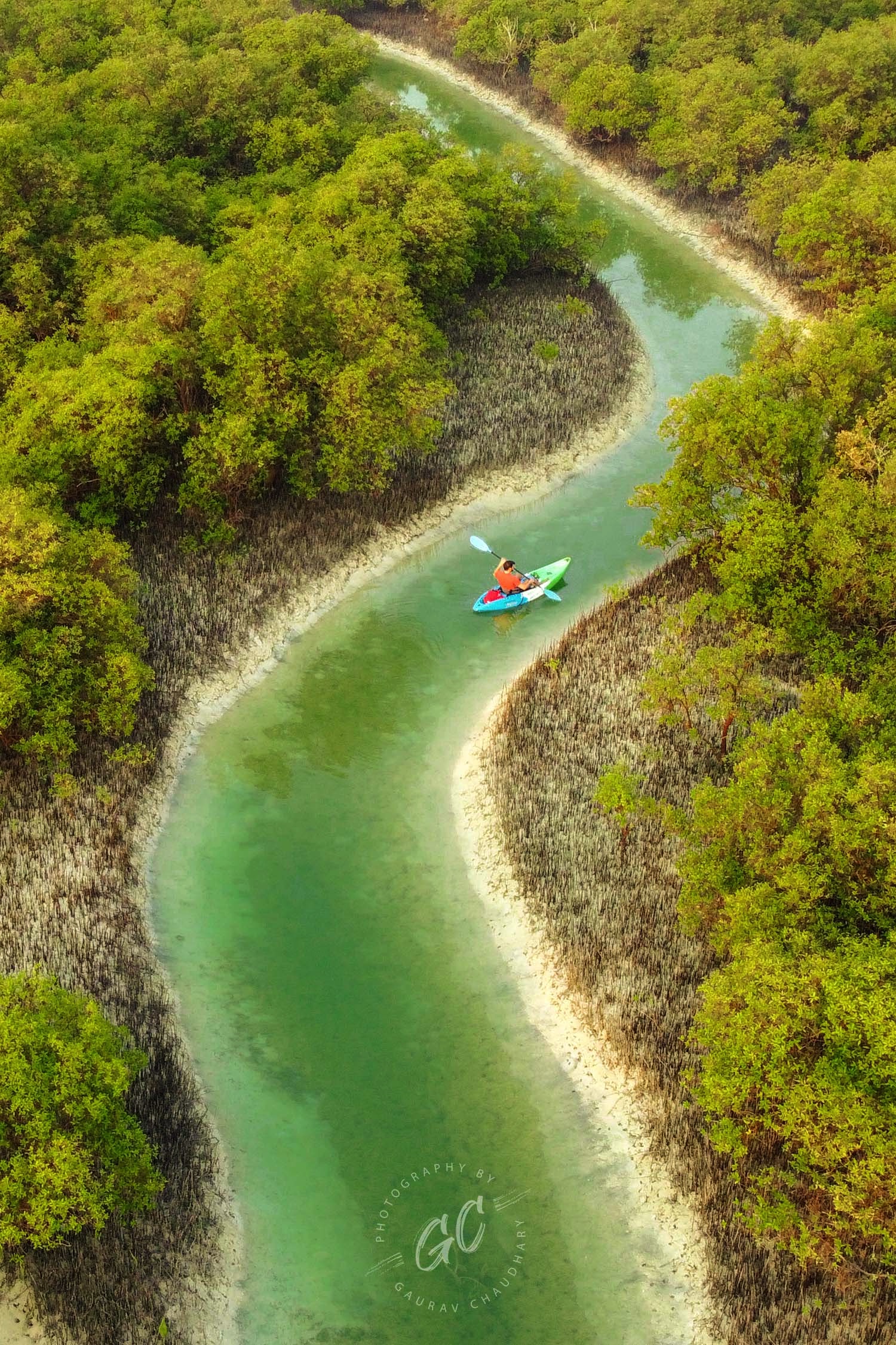阿布達比 Reem Central Park 半日獨木舟導覽探索