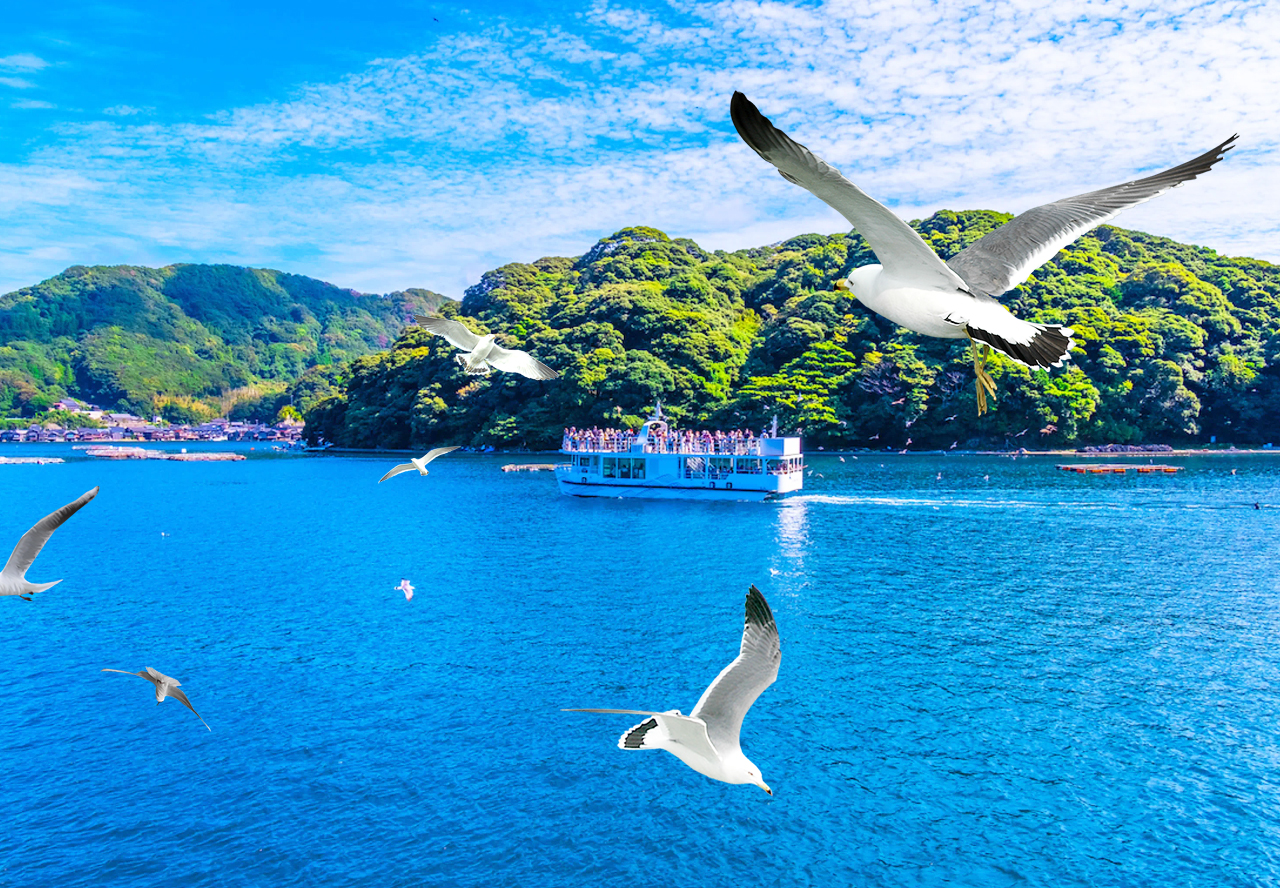 You can buy shrimp crackers from the shop next door to feed the seagulls.