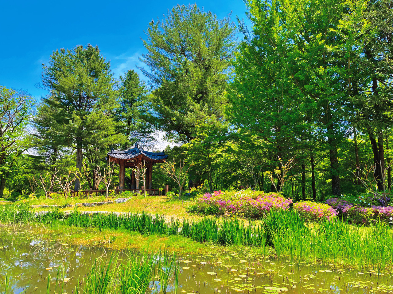 平坦且維護良好的步道,讓所有遊客都能輕鬆漫步,享受悠閒時光。 平坦且維護良好的步道,讓所有遊客都能輕鬆漫步,享受悠閒時光。