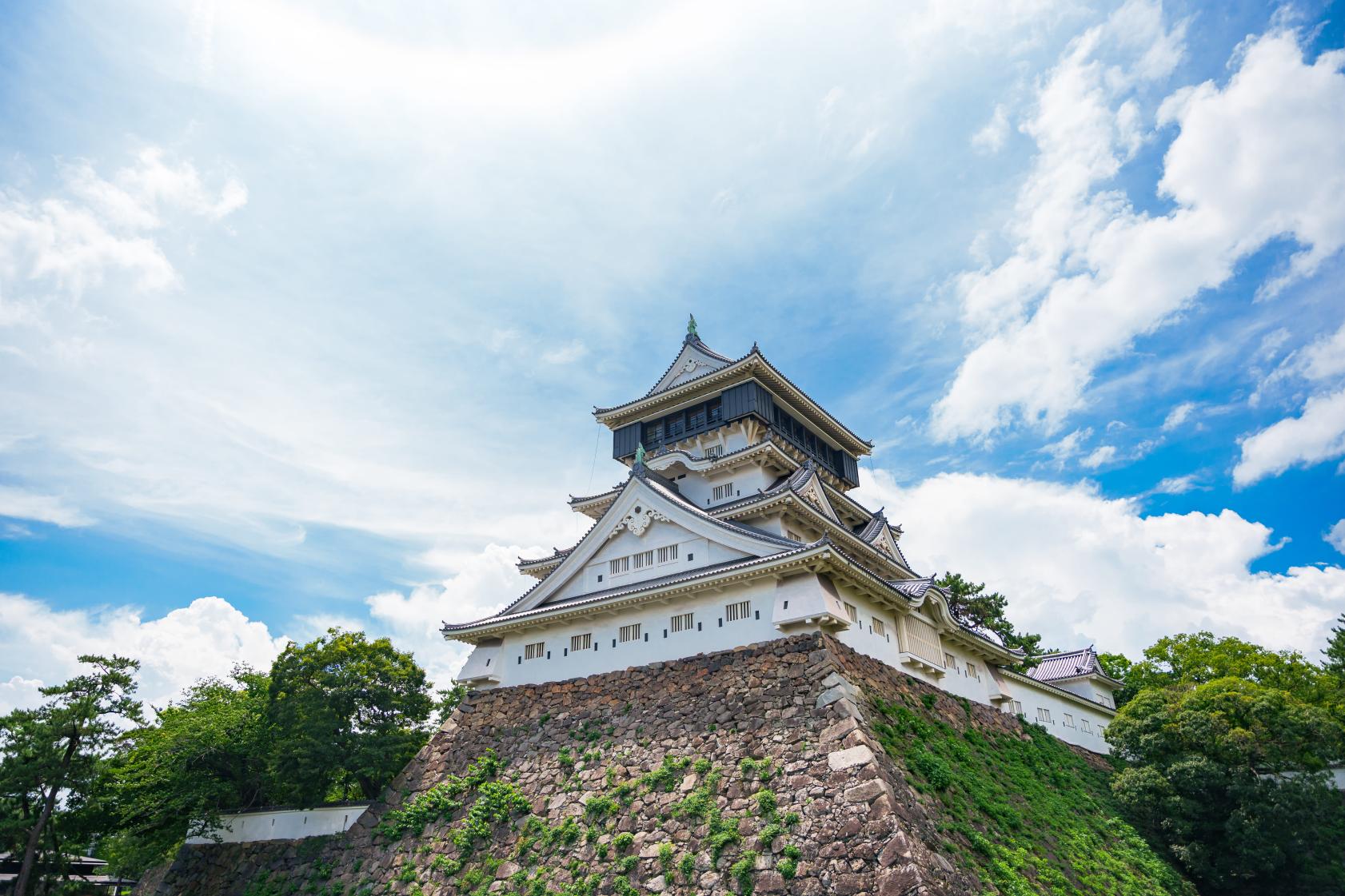 賞花限定｜北九州｜門司港·唐戶市場·小倉城·河內藤園賞紫藤花一日遊｜福岡出發