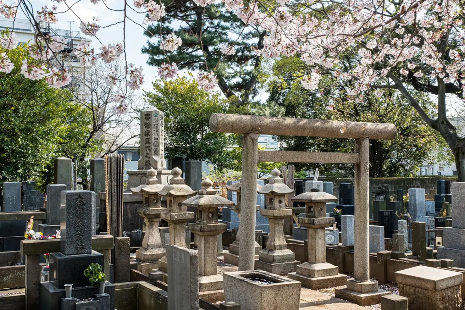 與武士書籍作者一起參加東京武士歷史徒步之旅