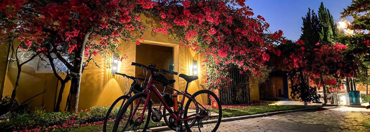 Riyadh Wadi Hanifa Full-Day Cycling Tour