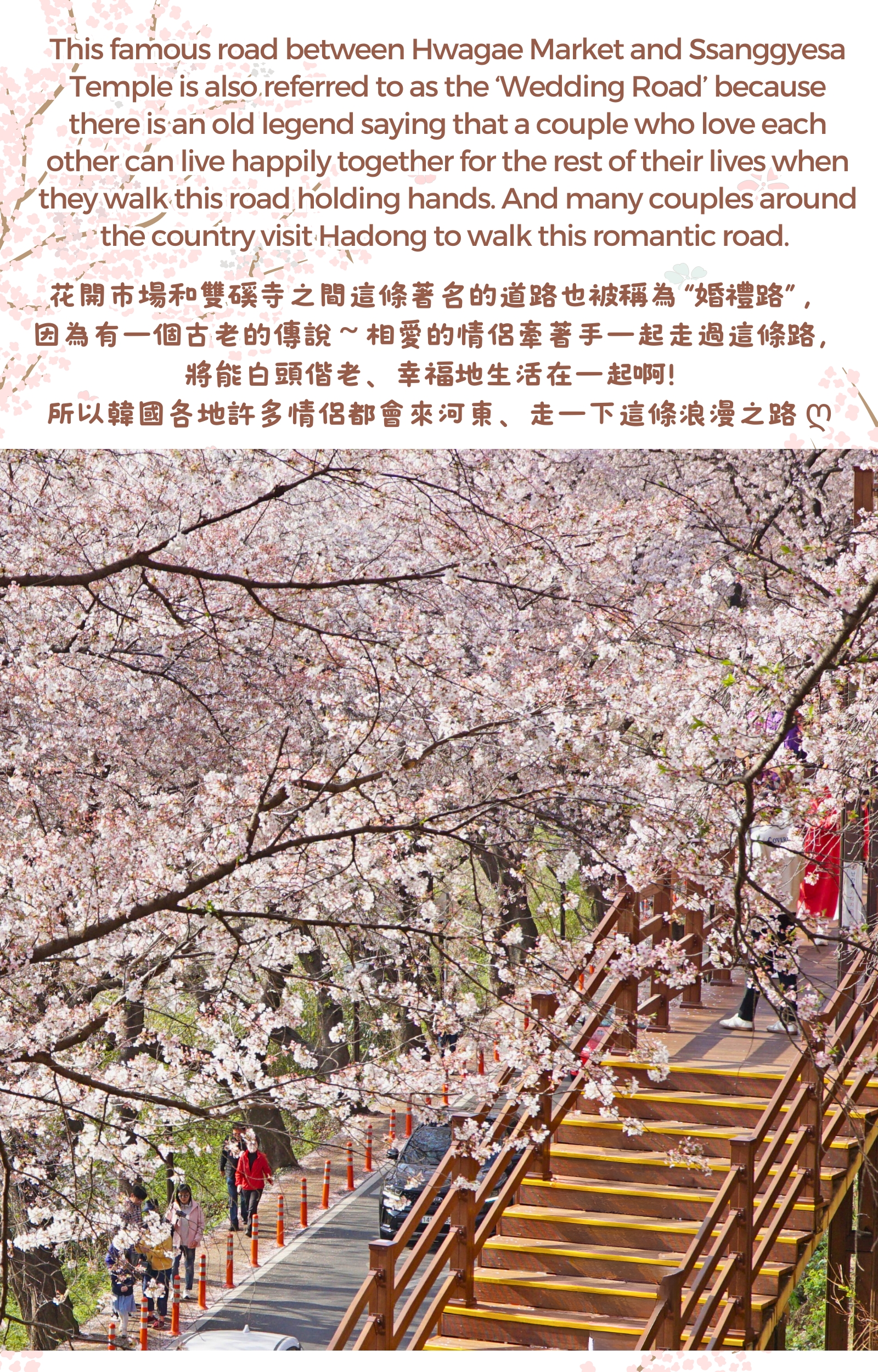 Hadong Cherry Blossom & Ssanggyesa & Flyway Cable Car Tour