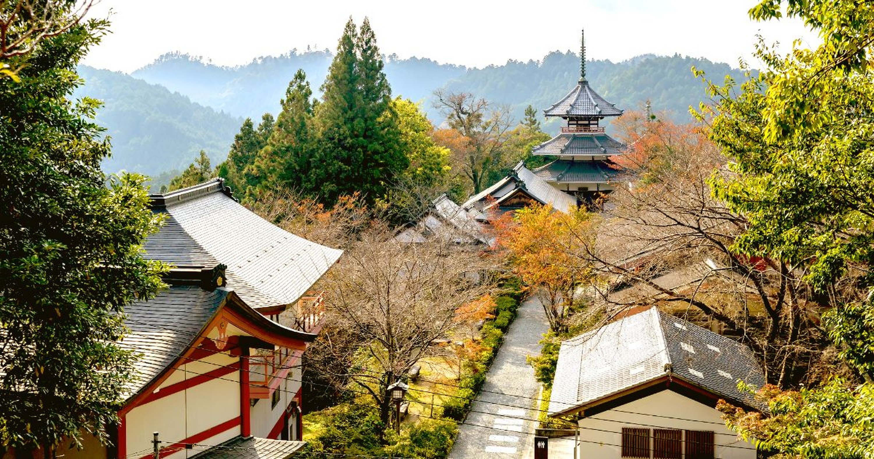 Mount Yoshino & Kinpusenji Private Full-Day Cherry Blossom Tour