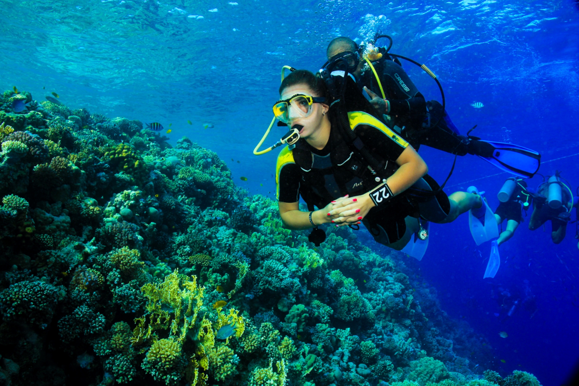 Coral Garden Snorkeling Trip & intro dive With Transfer - Marsa Alam