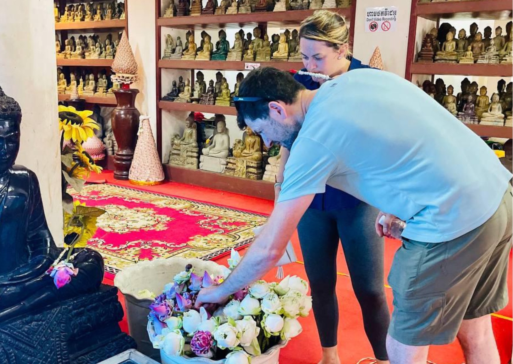 登上烏棟山頂，欣賞下方平原的壯麗景色