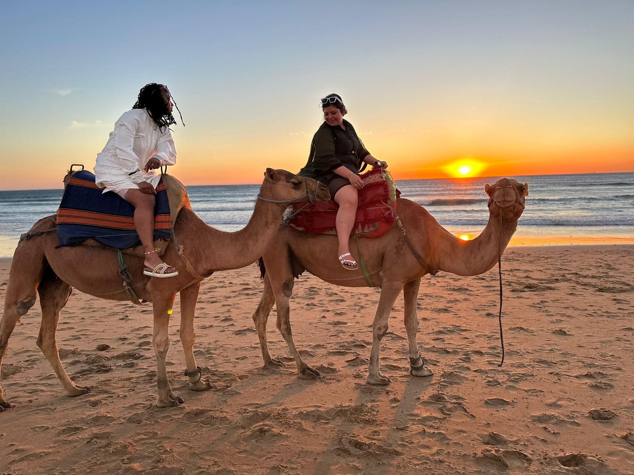 Sunset Camel Ride & Full Dinner