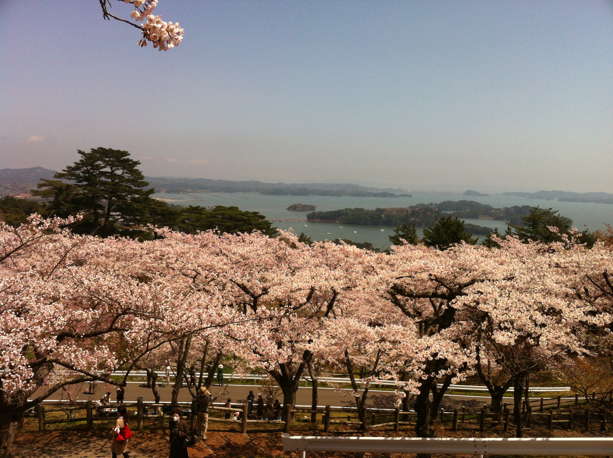 從仙台站出發的一日遊，前往鹽灶神社、日本三景之一的松島以及中尊寺