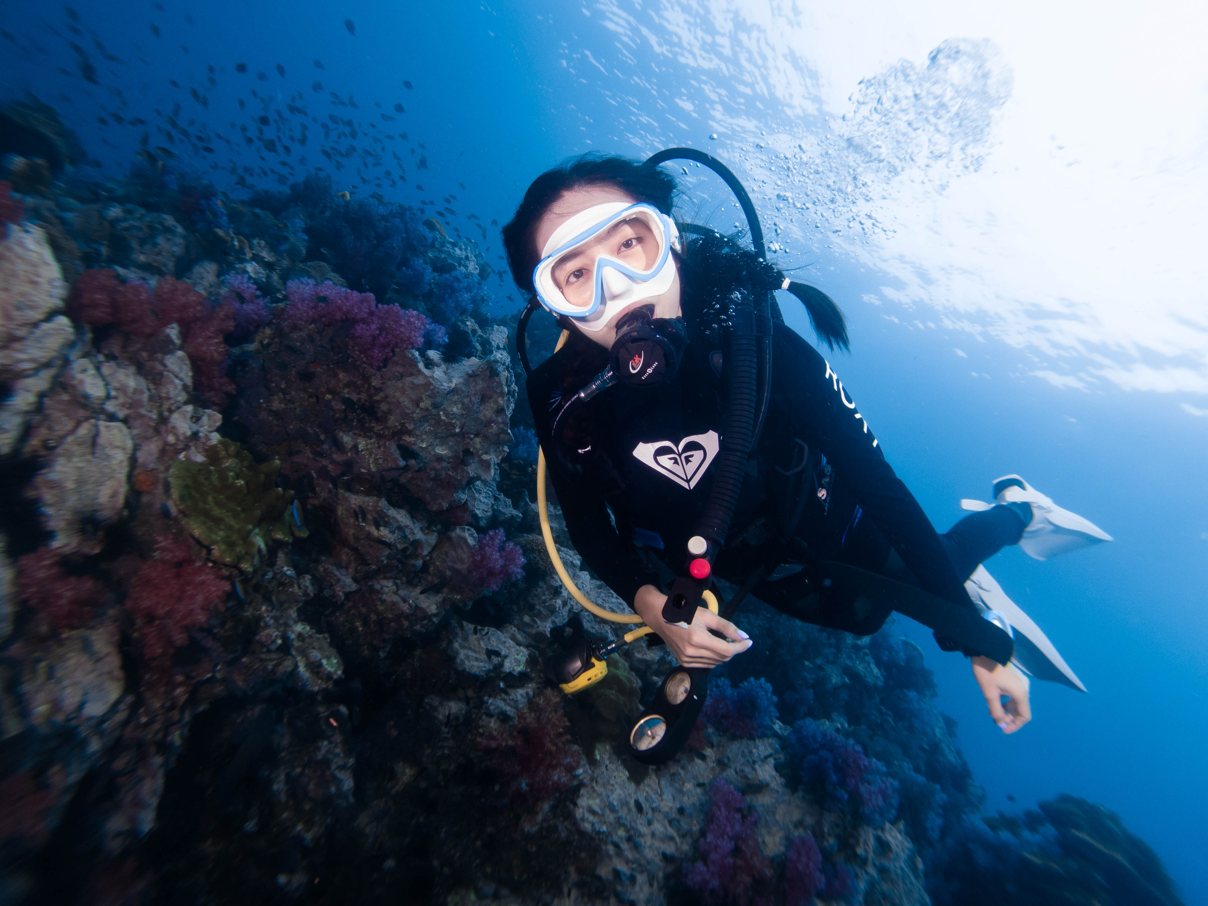 潛水：與 PADI 潛水中心一起探索巴東拜的水肺潛水