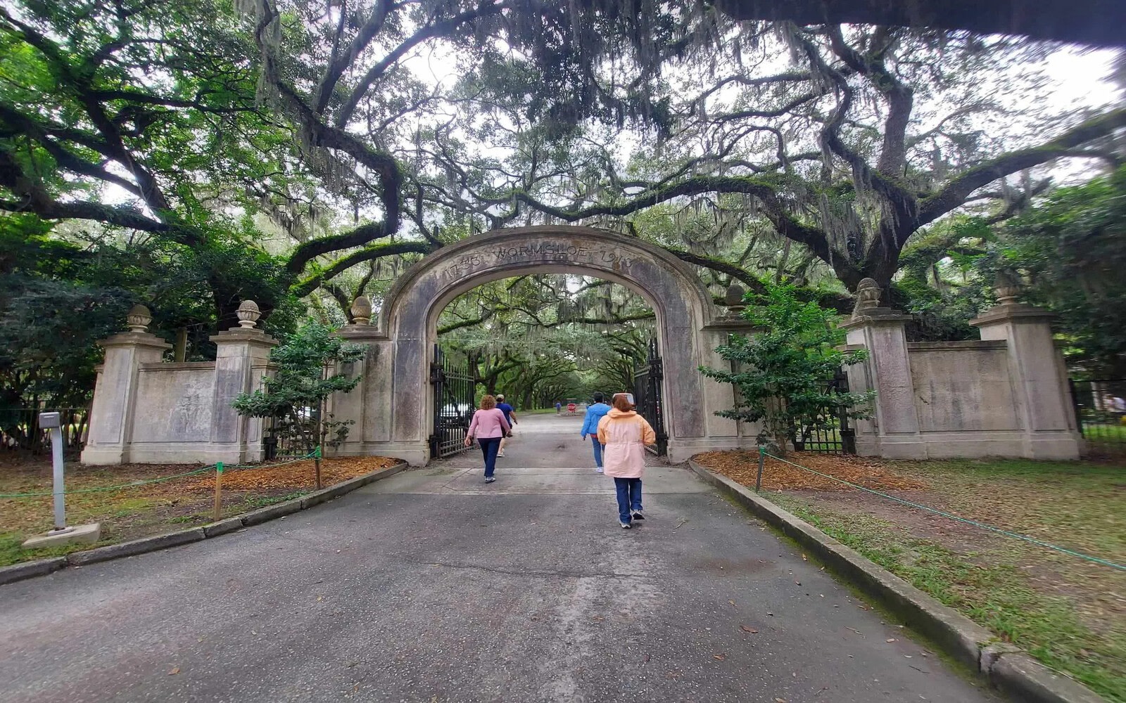 Savannah Culture and History Tour with Wormsloe Drive and Byrd Cookie