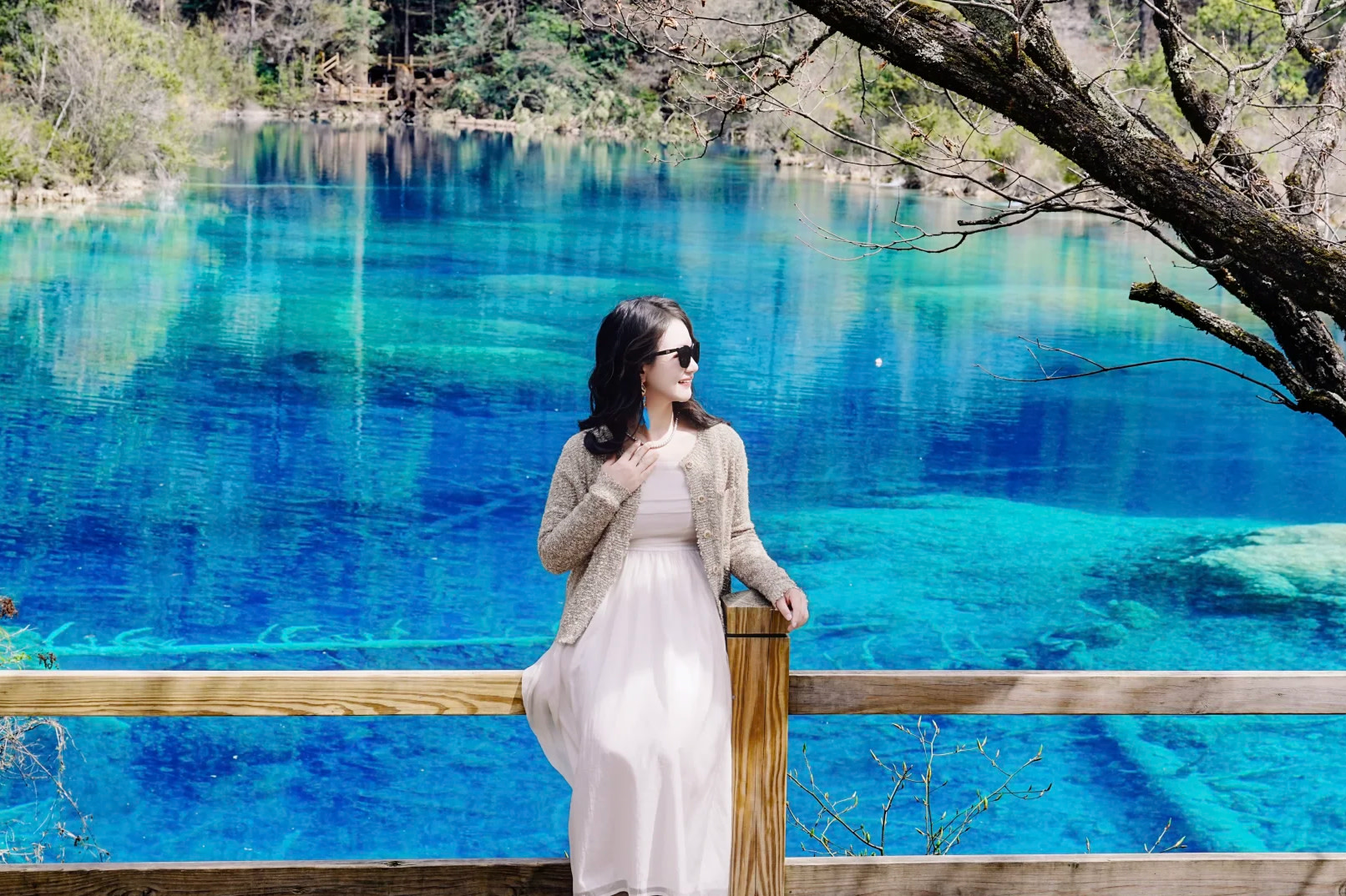 Chengdu · Jiuzhaigou · Huanglong · Panda Garden 3 Days 2 Nights