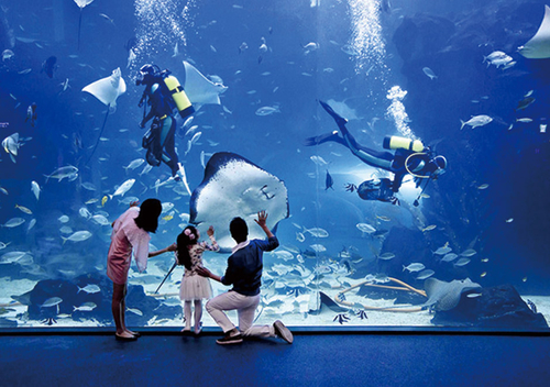 一山韓華 Aqua Planet 水族館門票