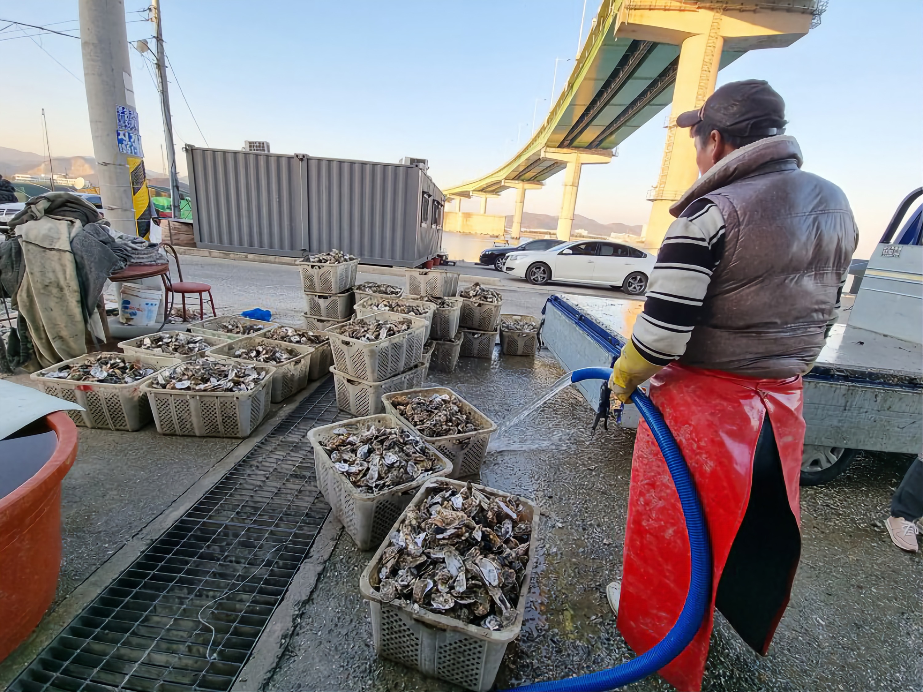 釜山牡蠣村之旅（含牡蠣美食）