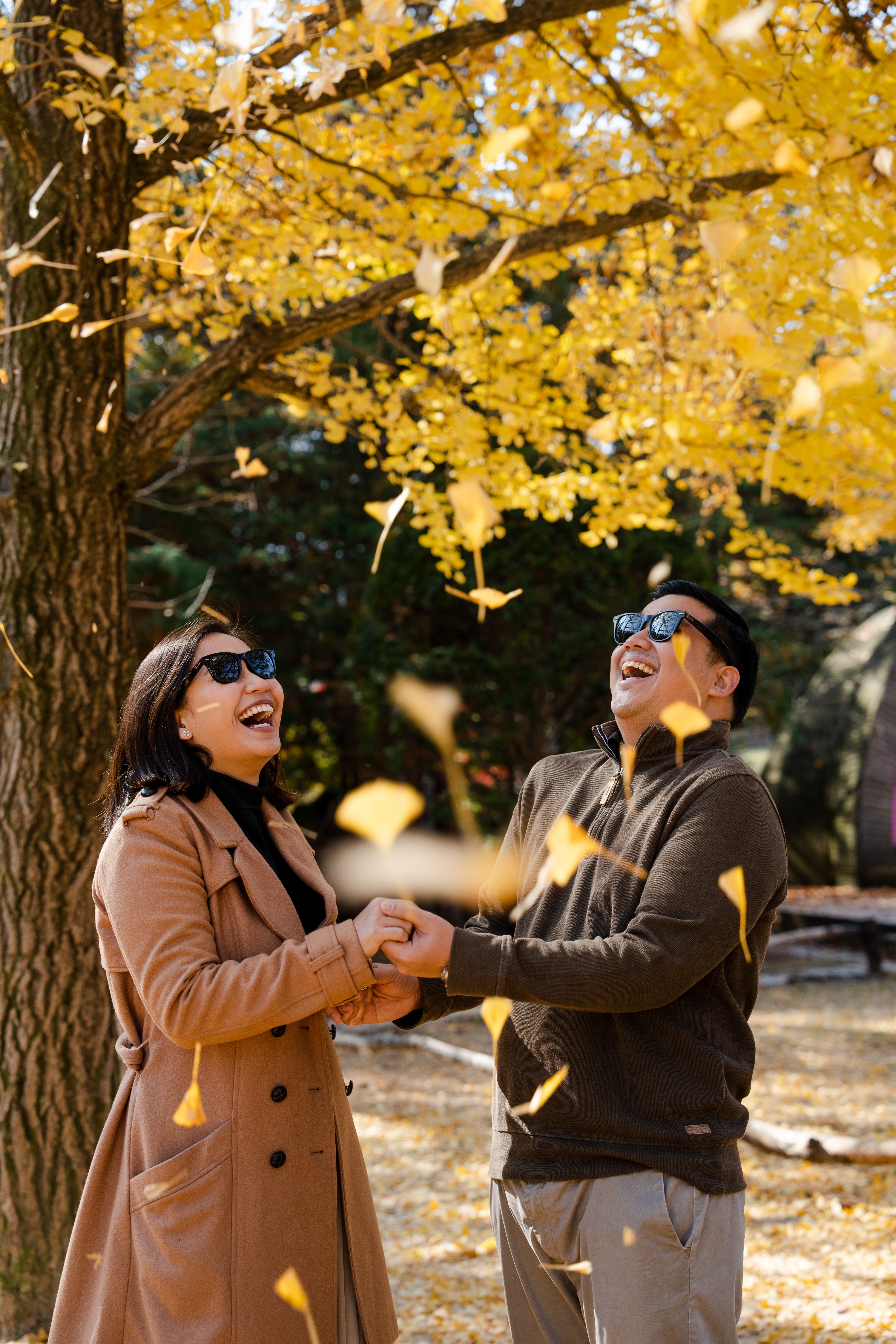 Nami Island Professional Photoshoot (Proposal, Group, Pre-wedding)