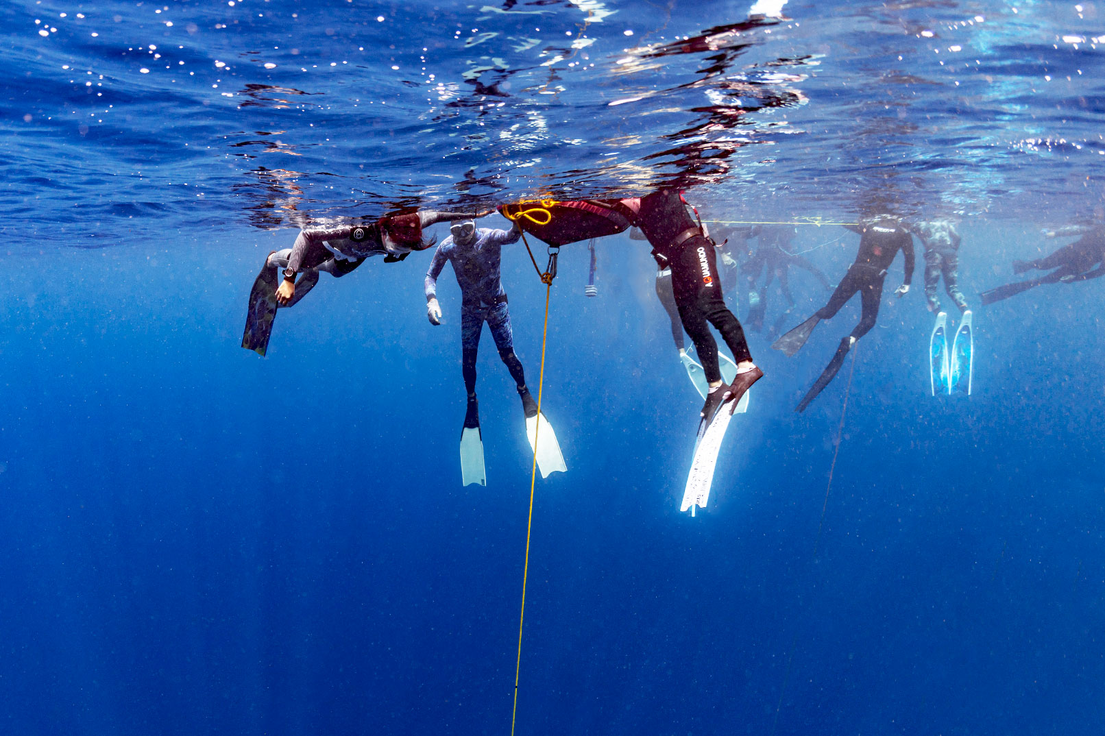 Discover Freediving: One-Day Introduction Experience