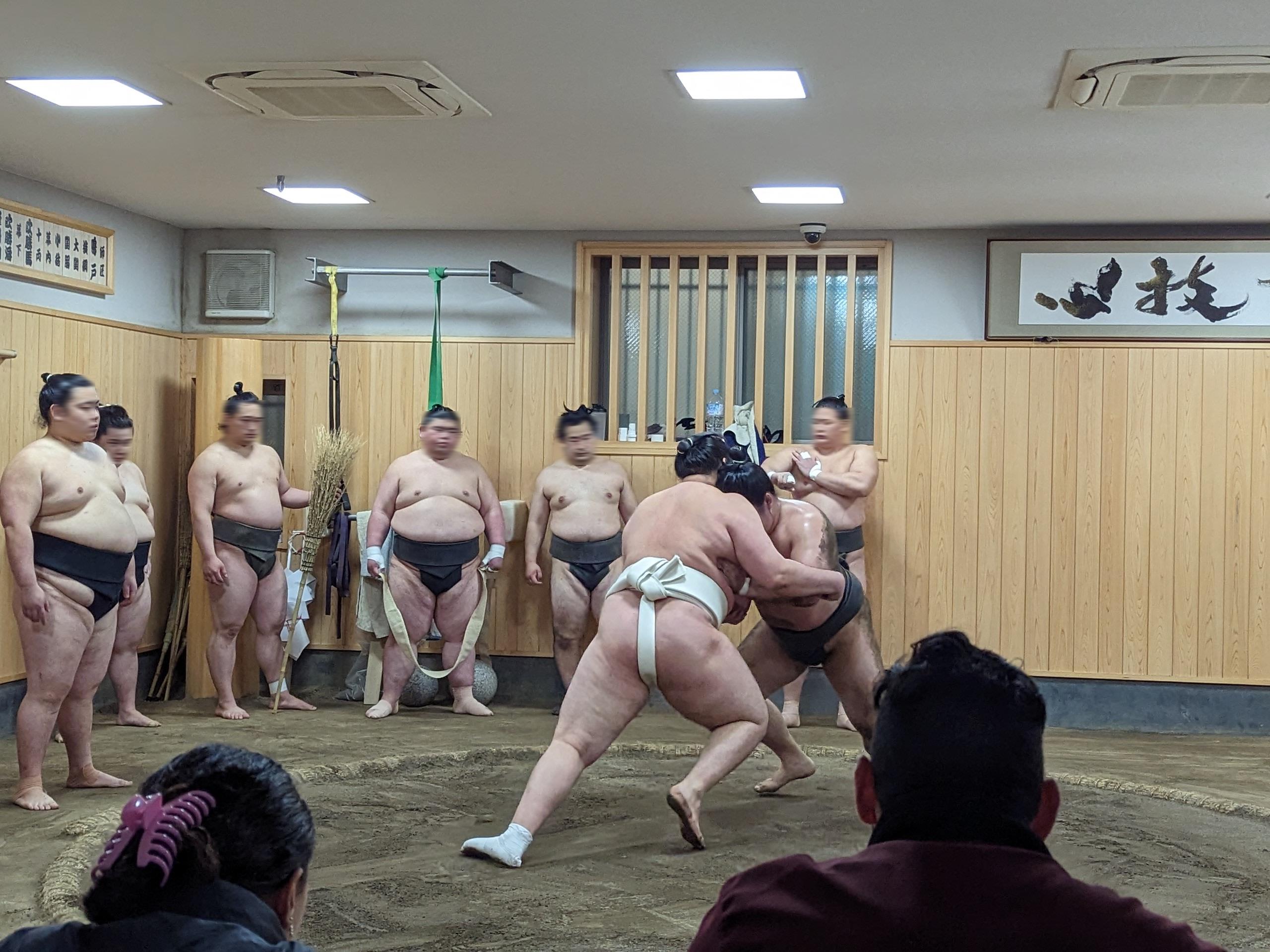 東京晨間觀看相撲練習體驗