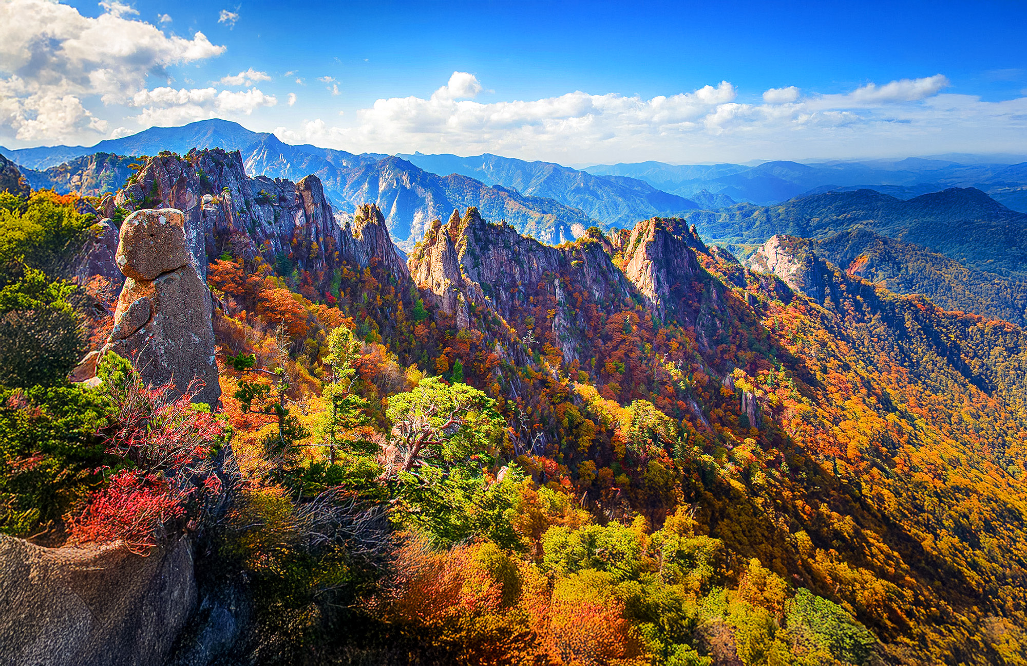 Wondae-ri Birch Forest & Maebawi Icewall Day Tour from Seoul