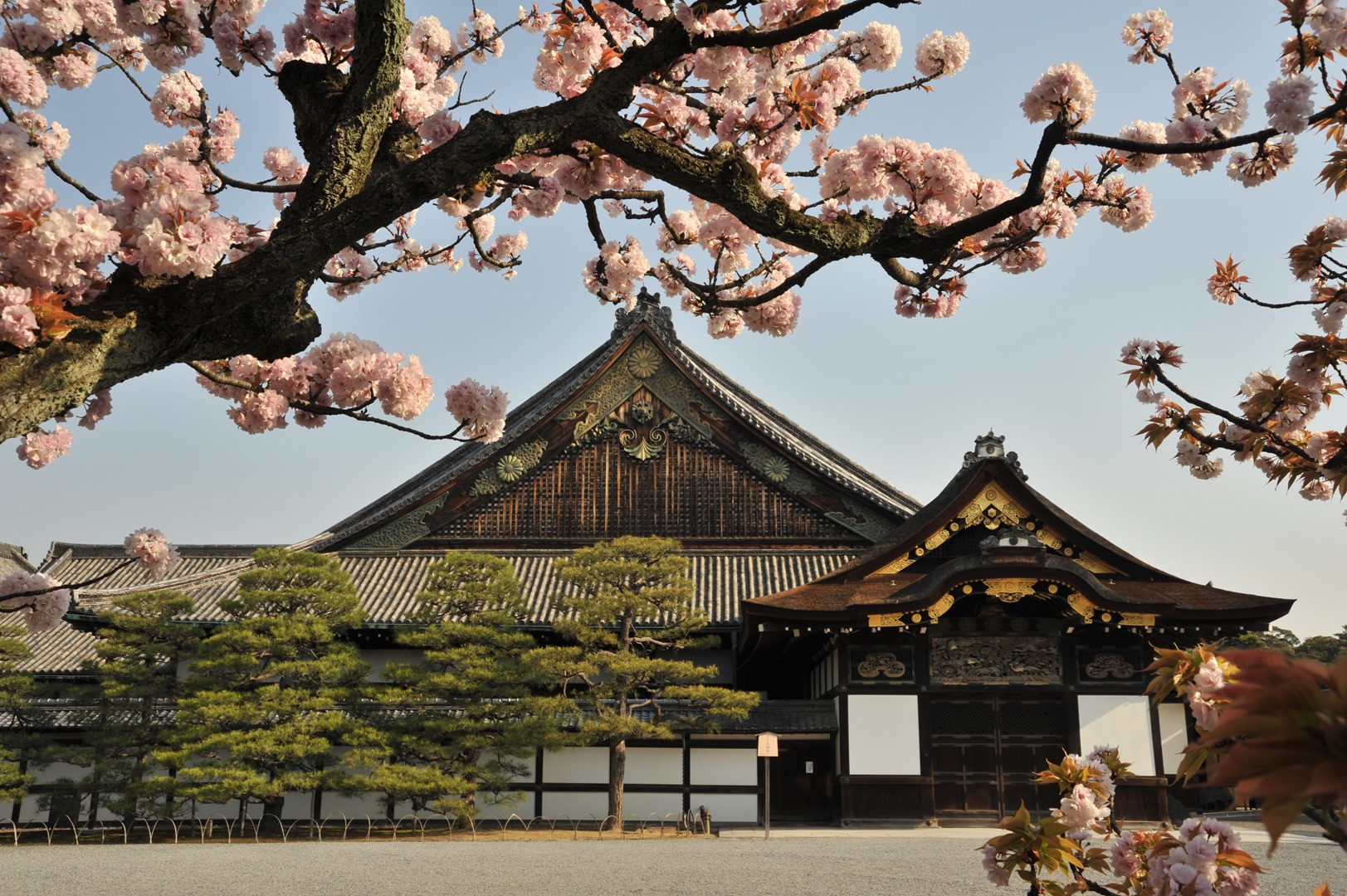 二條城 [圖片由二條城事務所提供]