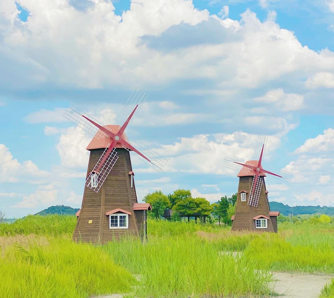 仁川餵海鷗／海邊鐵道自行車／Inspire／月尾島列車