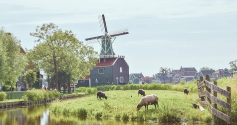 Zaanse Schanse E-Bike Tour From Amsterdam Old Town