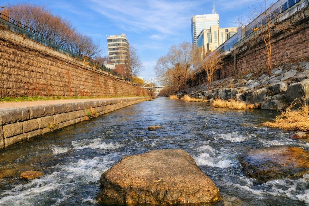Seoul Gwangjang Market & Naksan Park Sunset Walk