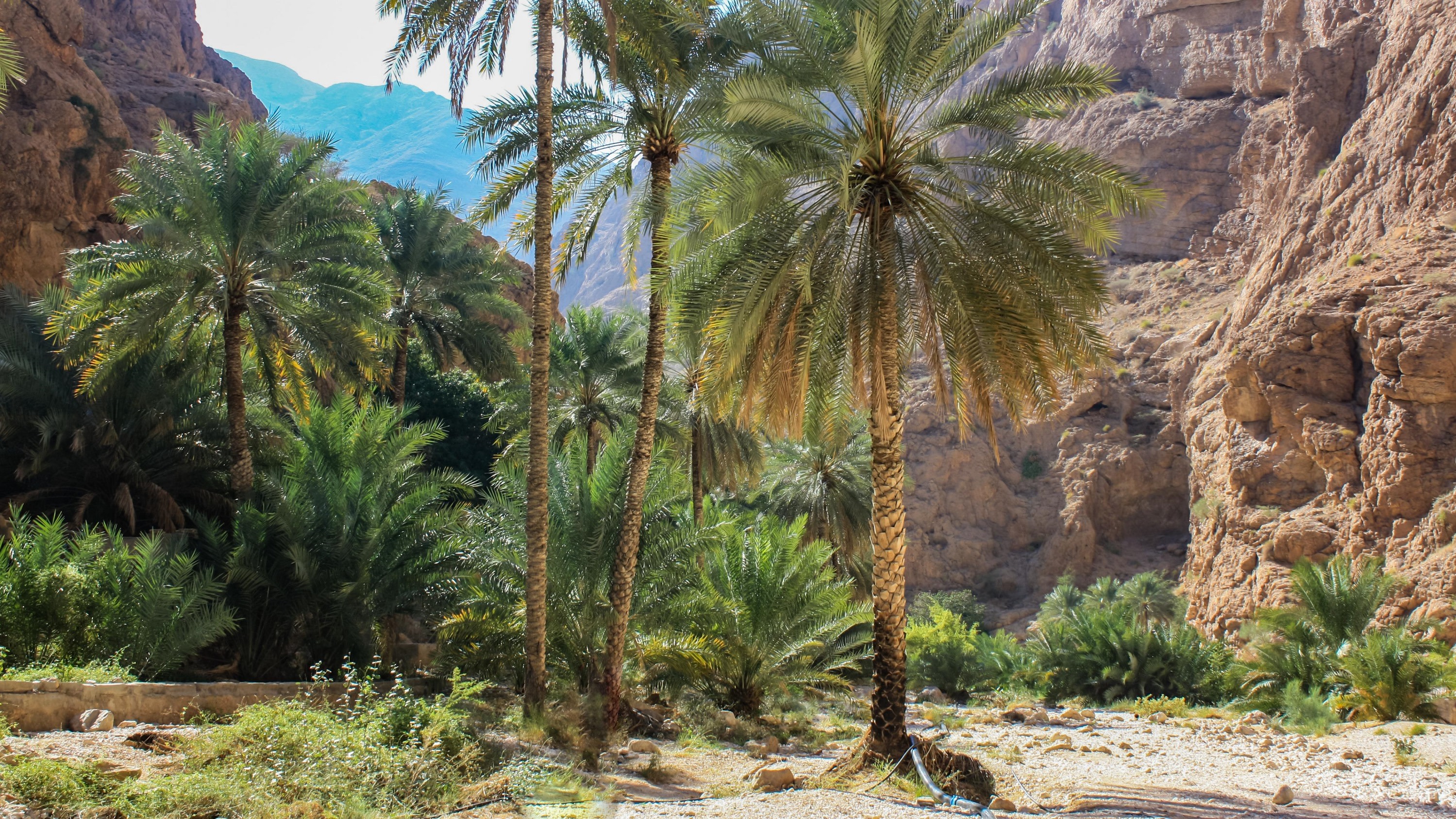 Private Tours Wadi Shab & Bimmah Sinkhole