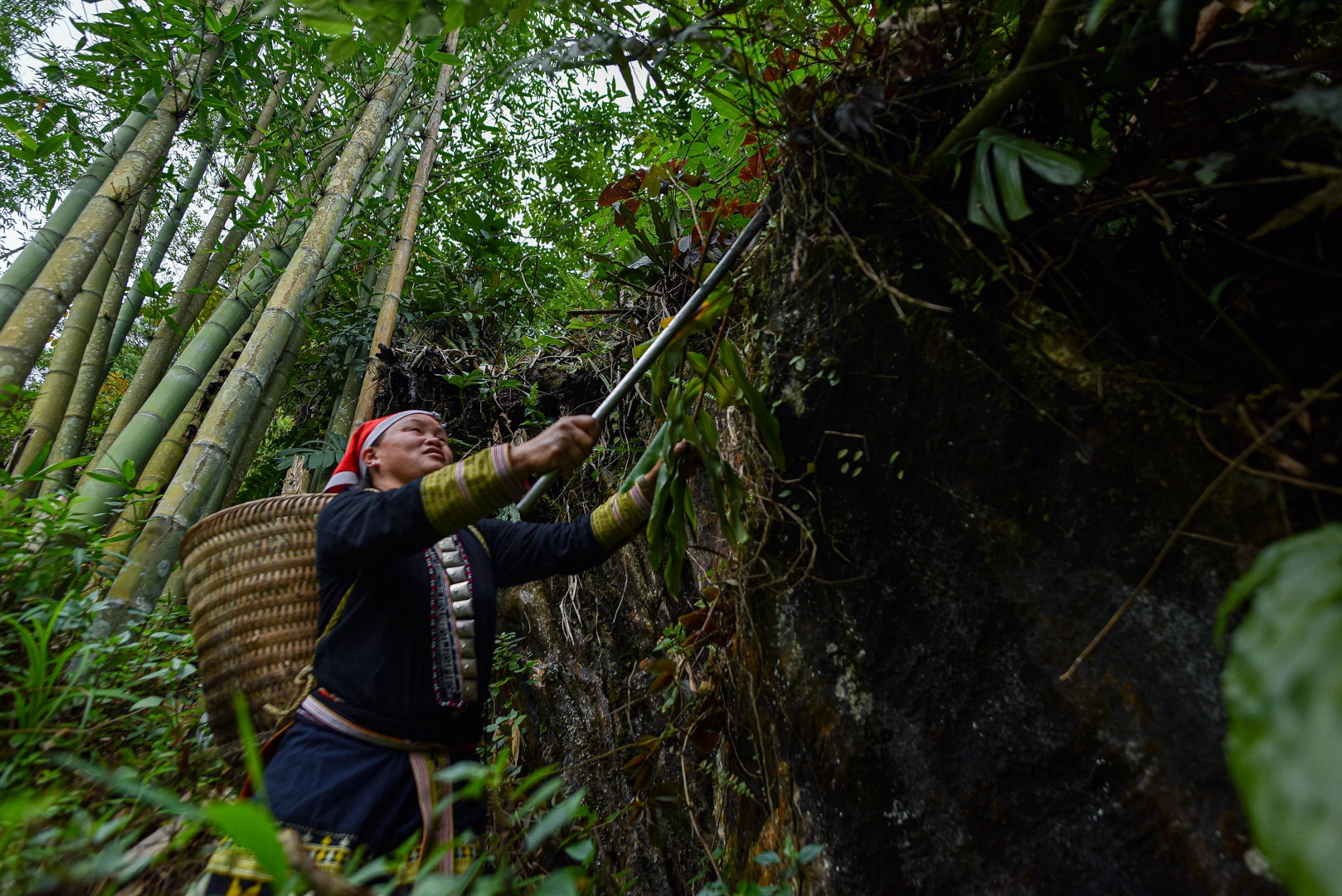 沙巴：紅瑤族草藥足浴和採葉之旅
