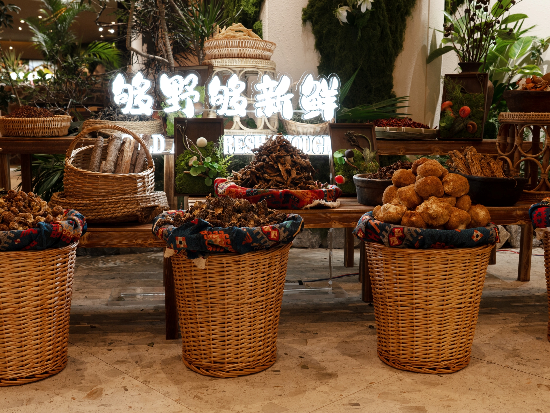 特色菜品 特色菜品