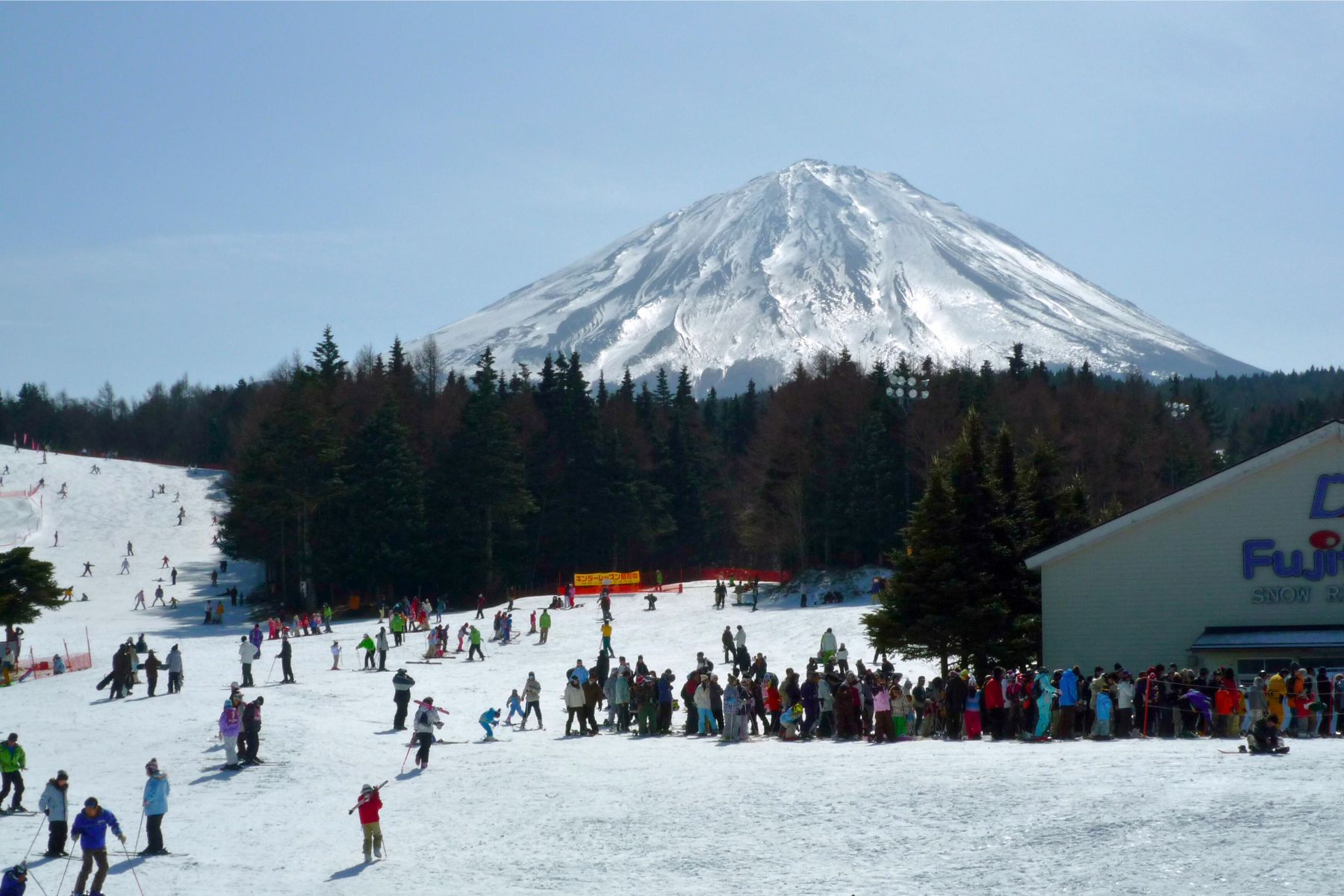 新倉山公園 ＆ 當季水果採摘 ＆ 富士山 ＆ 河口湖櫻花祭一日遊｜新宿出發