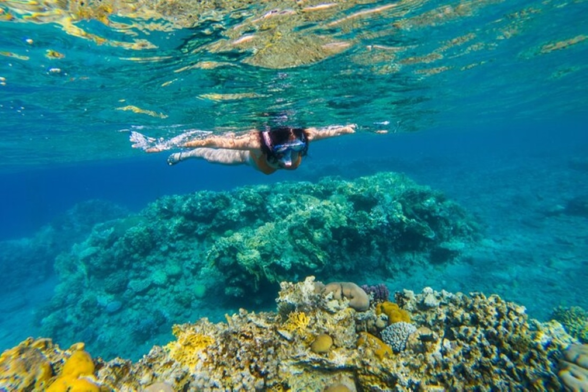 蒂朗島浮潛之旅(含午餐和接送) - 埃及沙姆沙伊赫 蒂朗島浮潛之旅(含午餐和接送) - 埃及沙姆沙伊赫