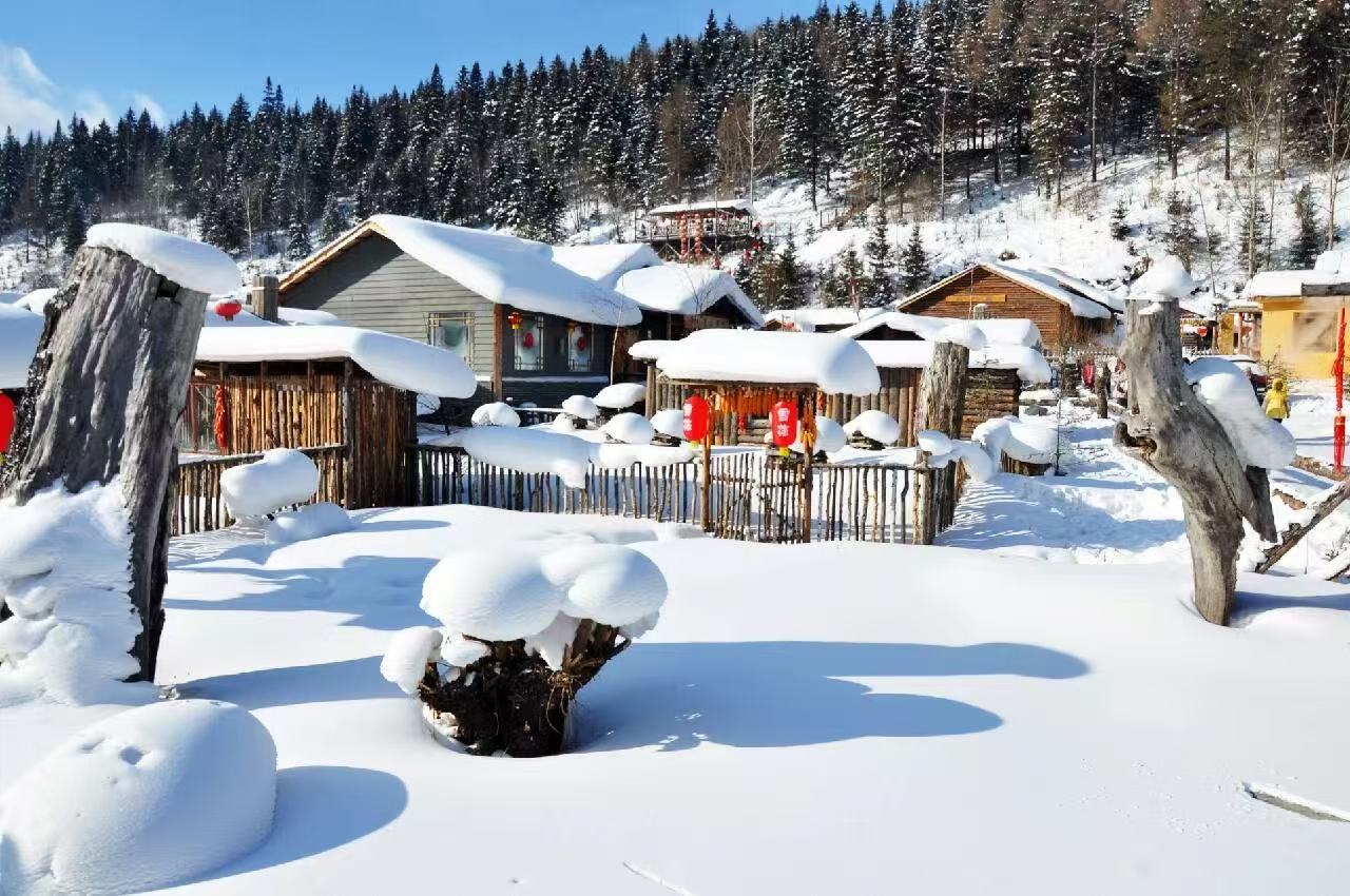 明媚晴空下，雪鄉院落白雪皚皚，樹樁、圍欄都被厚雪包裹。木屋錯落分佈，紅燈籠點綴其間，背後是莽莽林海。純淨雪白天地，完美展現雪鄉獨有的蘑菇雪頂與冬日村落風貌