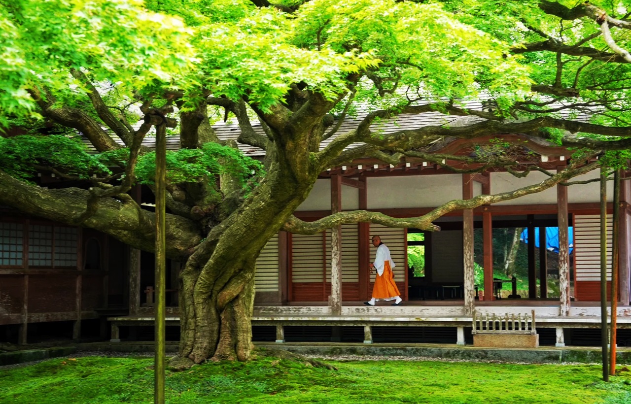糸島著名古剎,以秋楓聞名。寺內供奉鎌倉時代的千手觀音立像,院中有樹齡400年的大楓樹。周圍還有多棵百年古木,秋季紅葉與古寺相映,是歷史與自然交融的靈場。 糸島著名古剎,以秋楓聞名。寺內供奉鎌倉時代的千手觀音立像,院中有樹齡400年的大楓樹。周圍還有多棵百年古木,秋季紅葉與古寺相映,是歷史與自然交融的靈場。