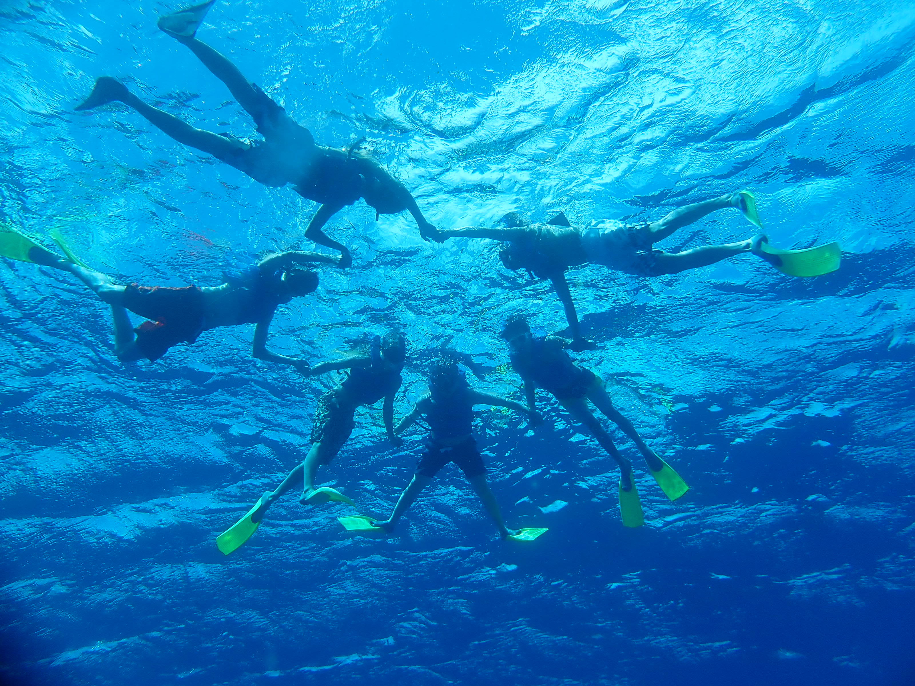 Kayak Turtle Snorkeling in Tumon with PADI 5 Star Dive Resort