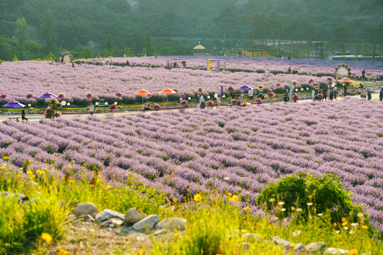 每個季節都呈現出新的美景——春天的鮮花、夏天的綠意、秋天的楓葉，