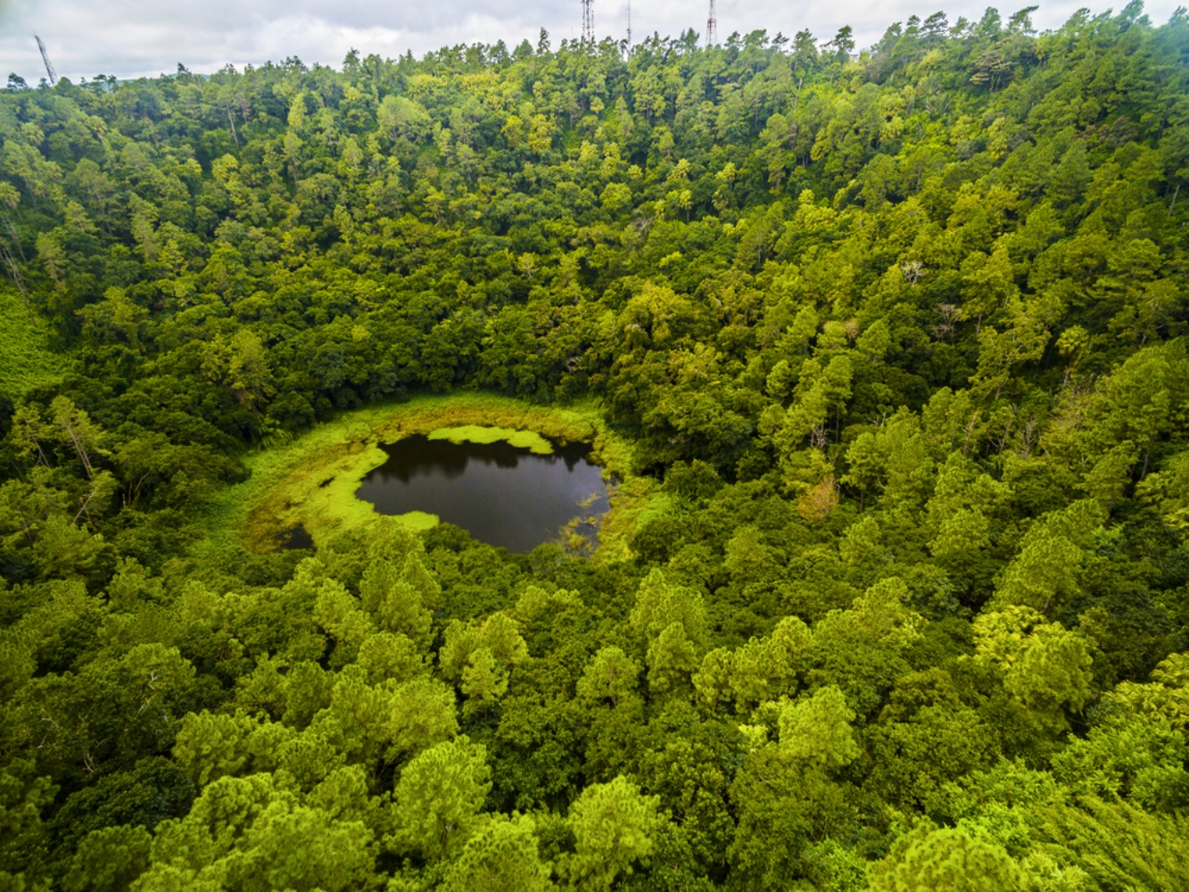 Explore the Best of Mauritius: Guided Full Day Tour in Private Car