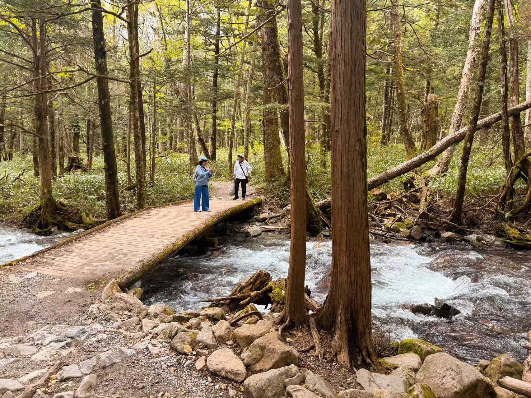 溪流健行路線(往明神池方向) 溪流健行路線(往明神池方向)