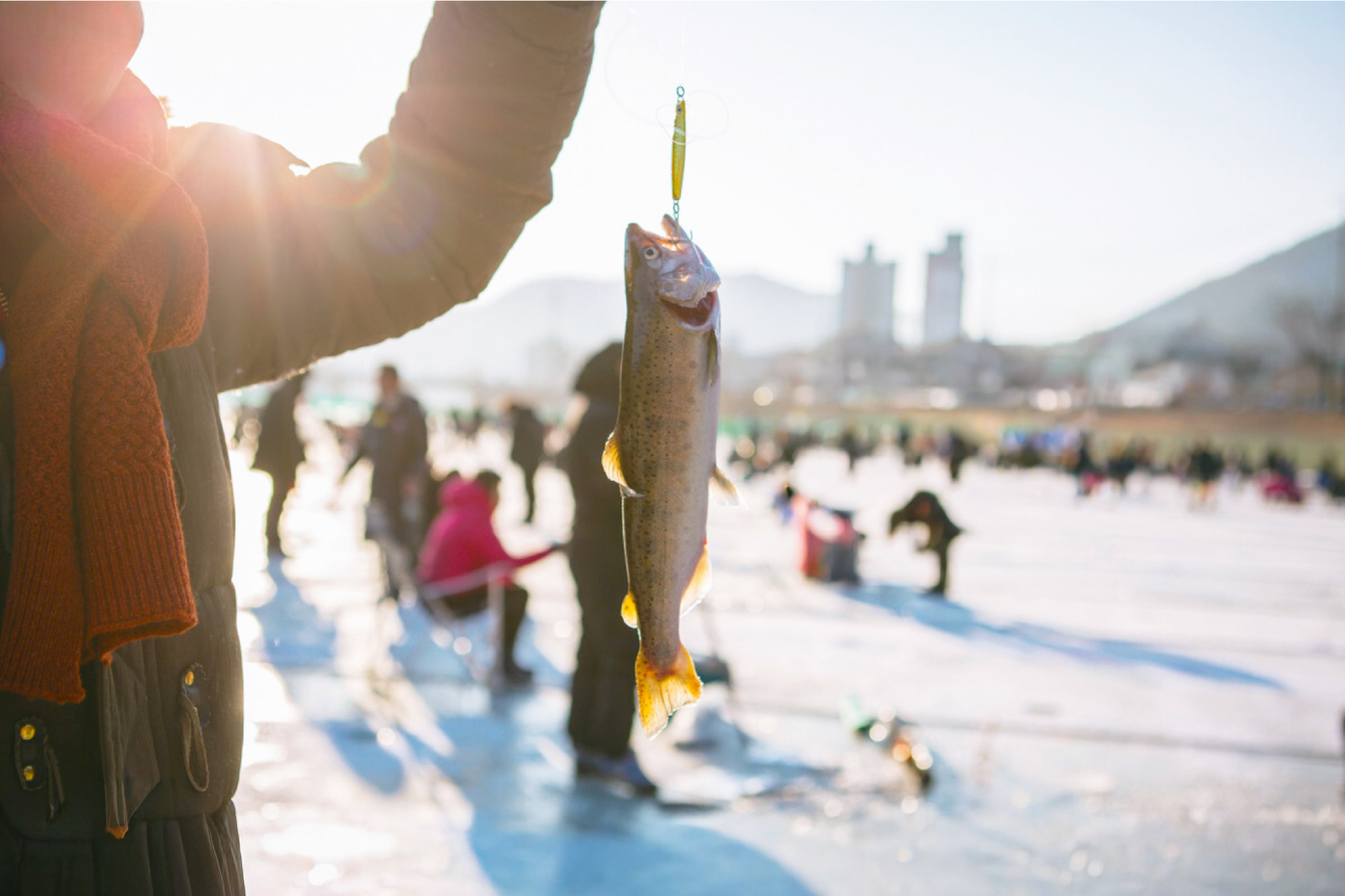 在30厘米厚的冰層上鑿個洞,就能釣到新鮮的山鱒魚!釣到的魚可以在現場燒烤,或做成生魚片享用。 在30厘米厚的冰層上鑿個洞,就能釣到新鮮的山鱒魚!釣到的魚可以在現場燒烤,或做成生魚片享用。