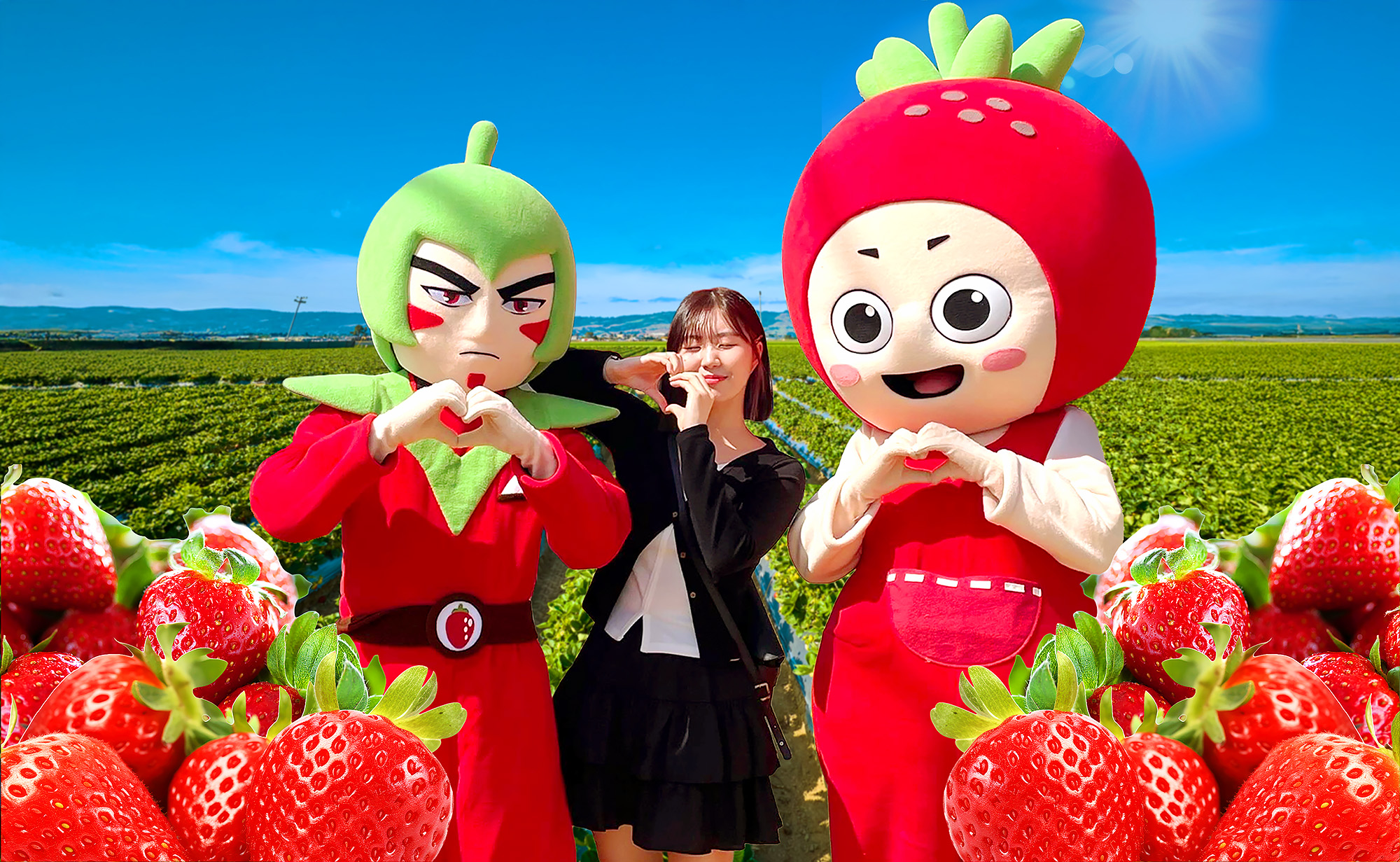 🍓💚 春日限定的特別慶典！「論山草莓節」是韓國最著名的春季慶典之一。