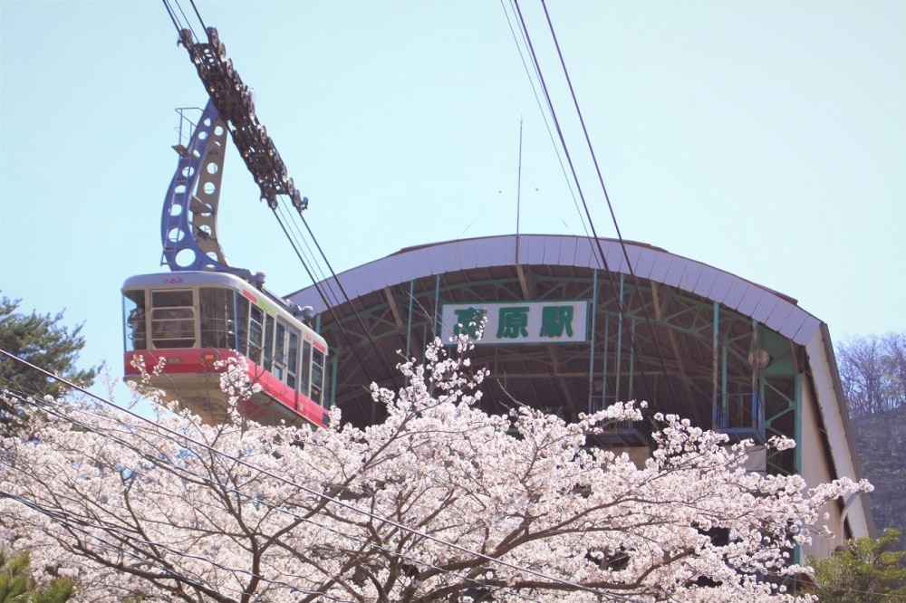 太宰府 & 湯布院 & 別府空中纜車 & 灶地獄一日遊 (福岡出發)