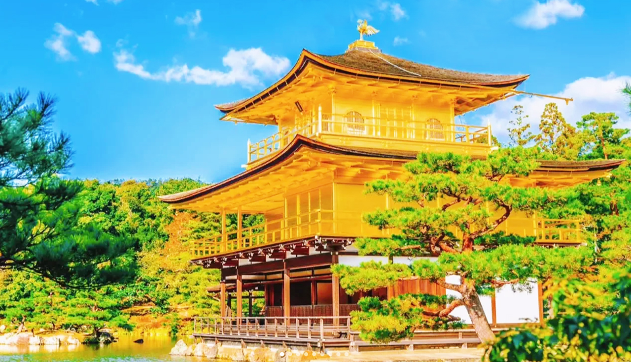 Kyoto Kinkakuji Temple, Kiyomizu Temple, Matcha Experience, Heian Shrine, and Rabbit Shrine Day Tour